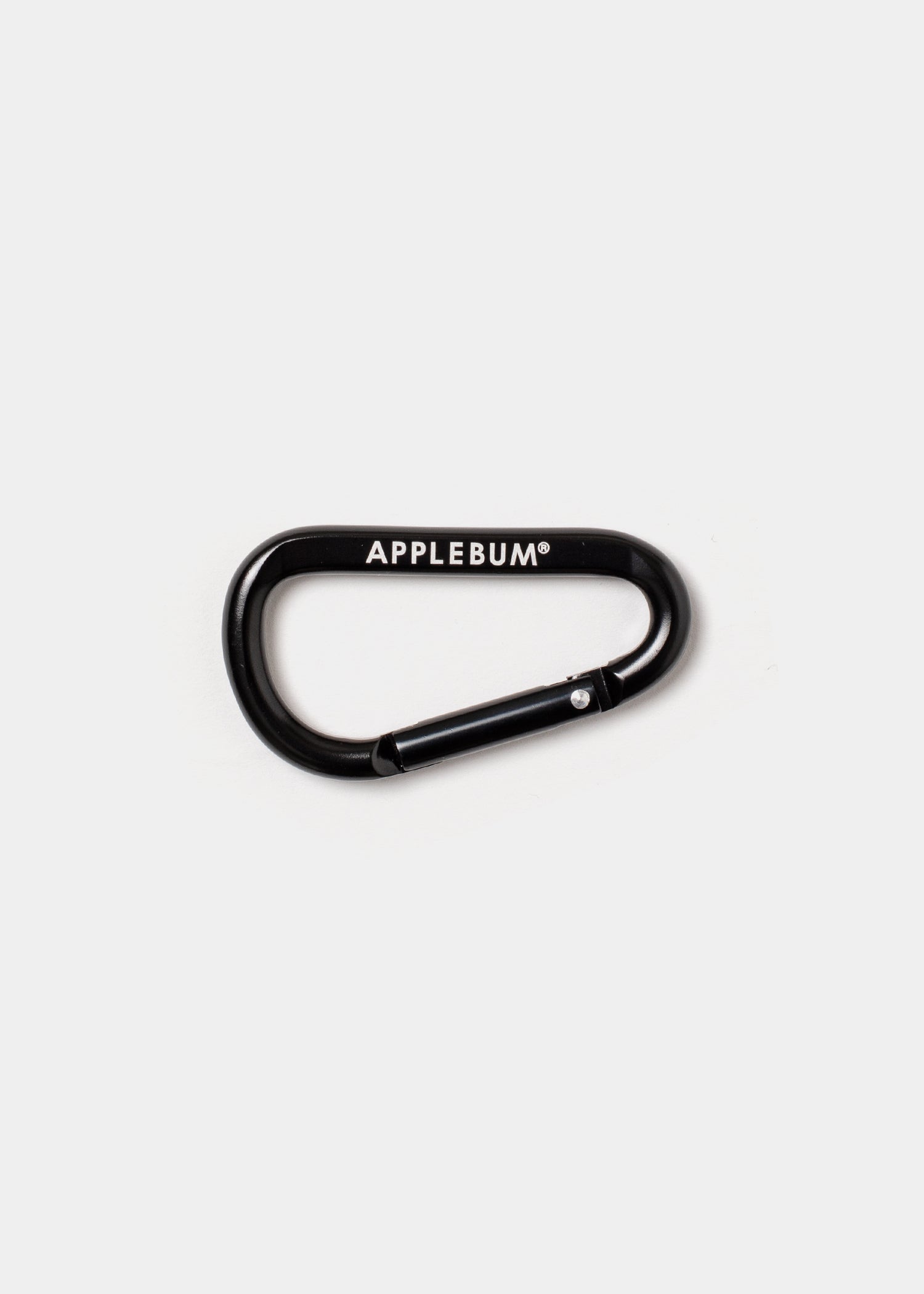 Logo Carabiner / HS2511001