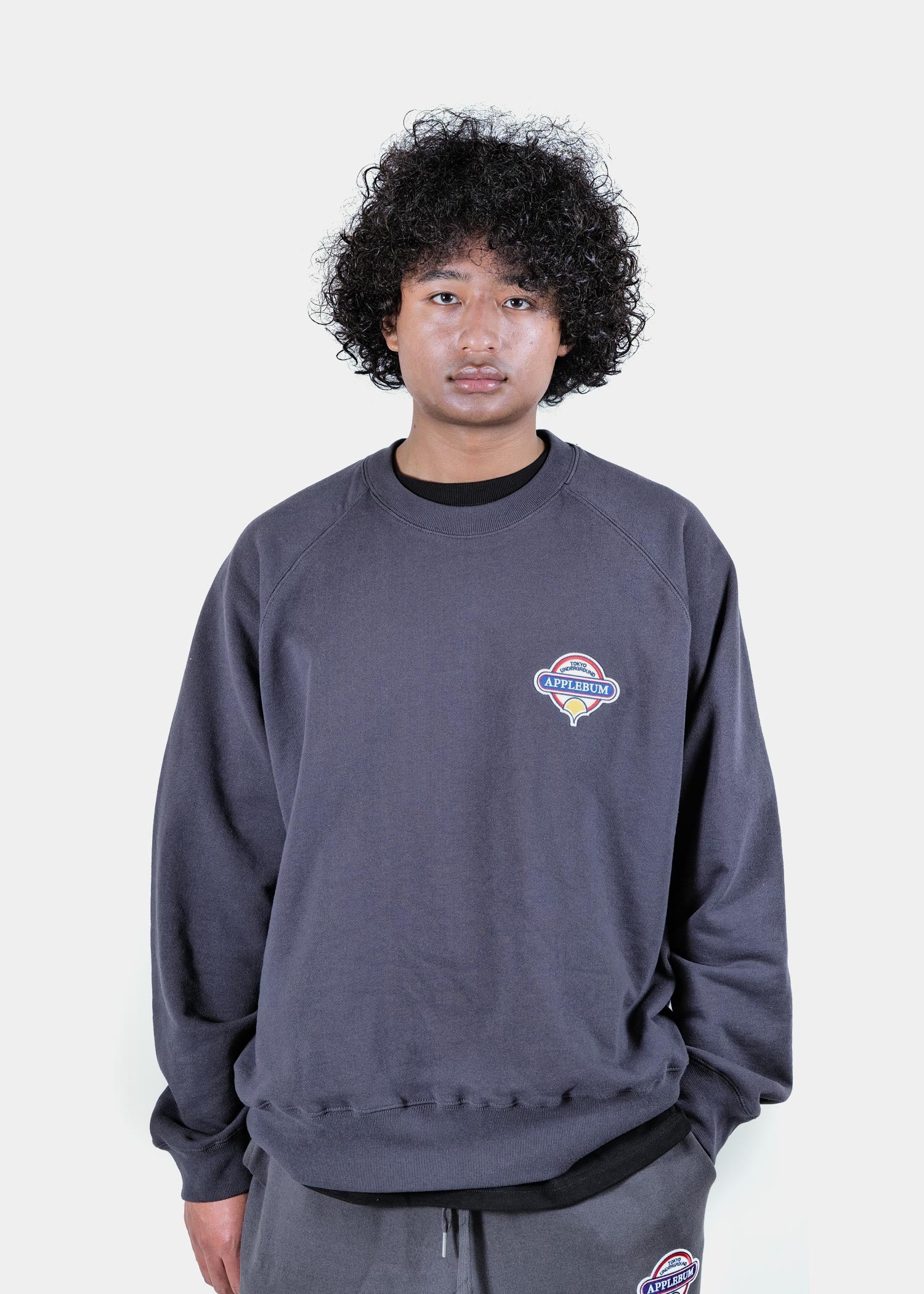 Wappen Crew Sweat / 2520410