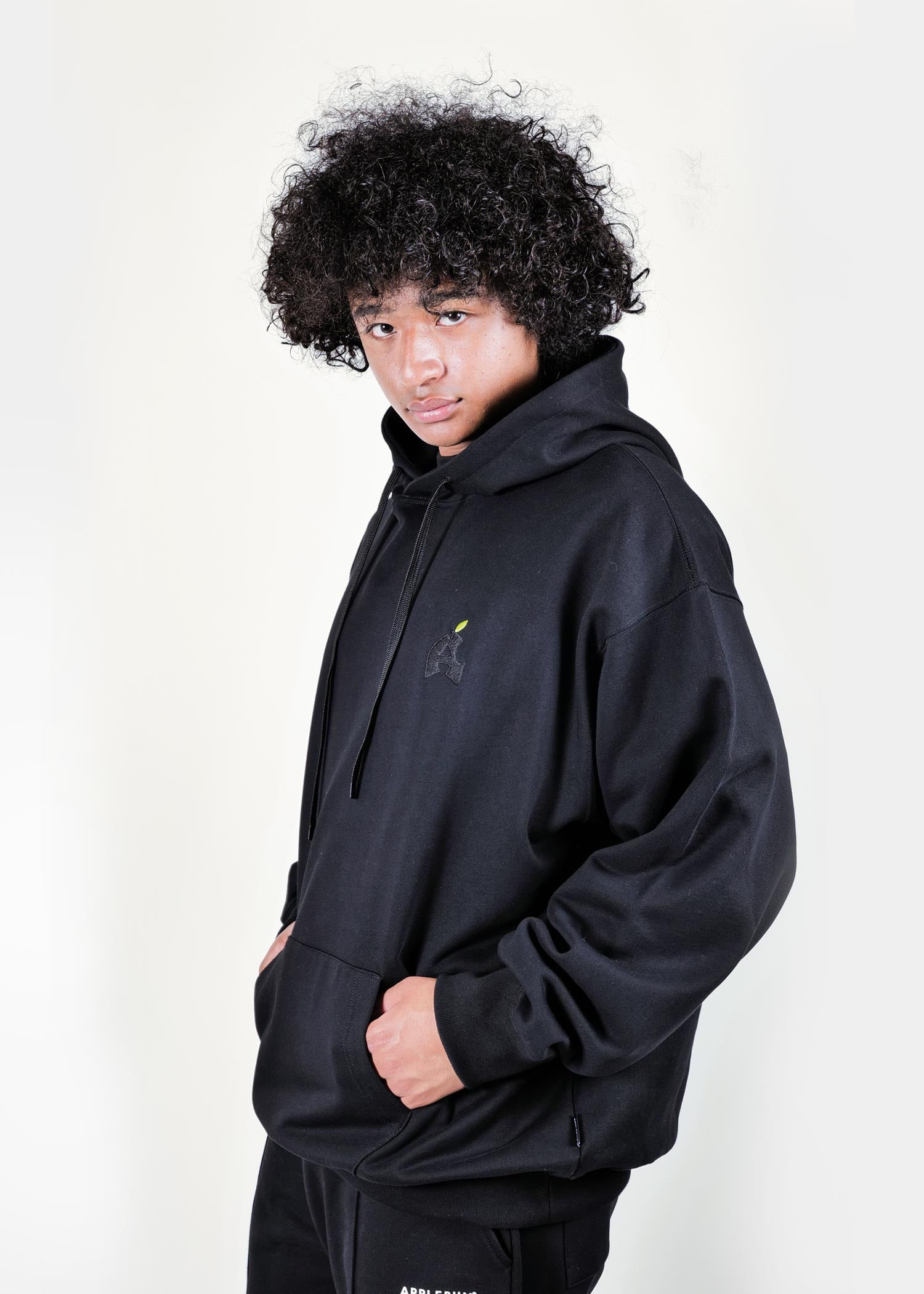 “BLACK APPLE” Sweat Parka / 2520404