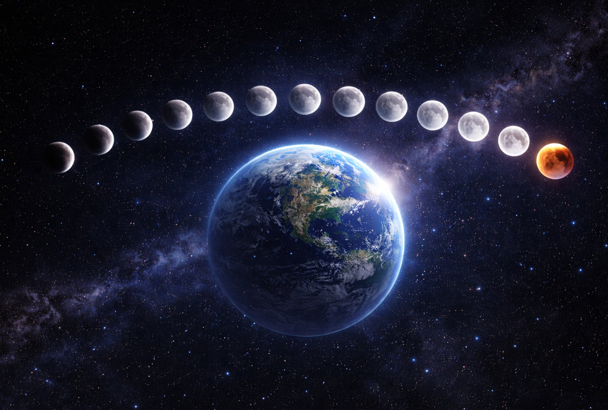 「1年は13ヶ月」