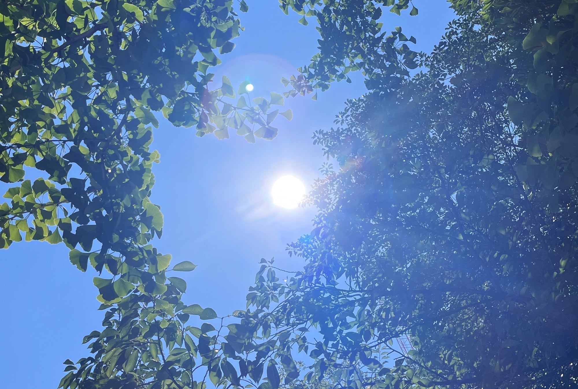 「暑すぎるっ！」