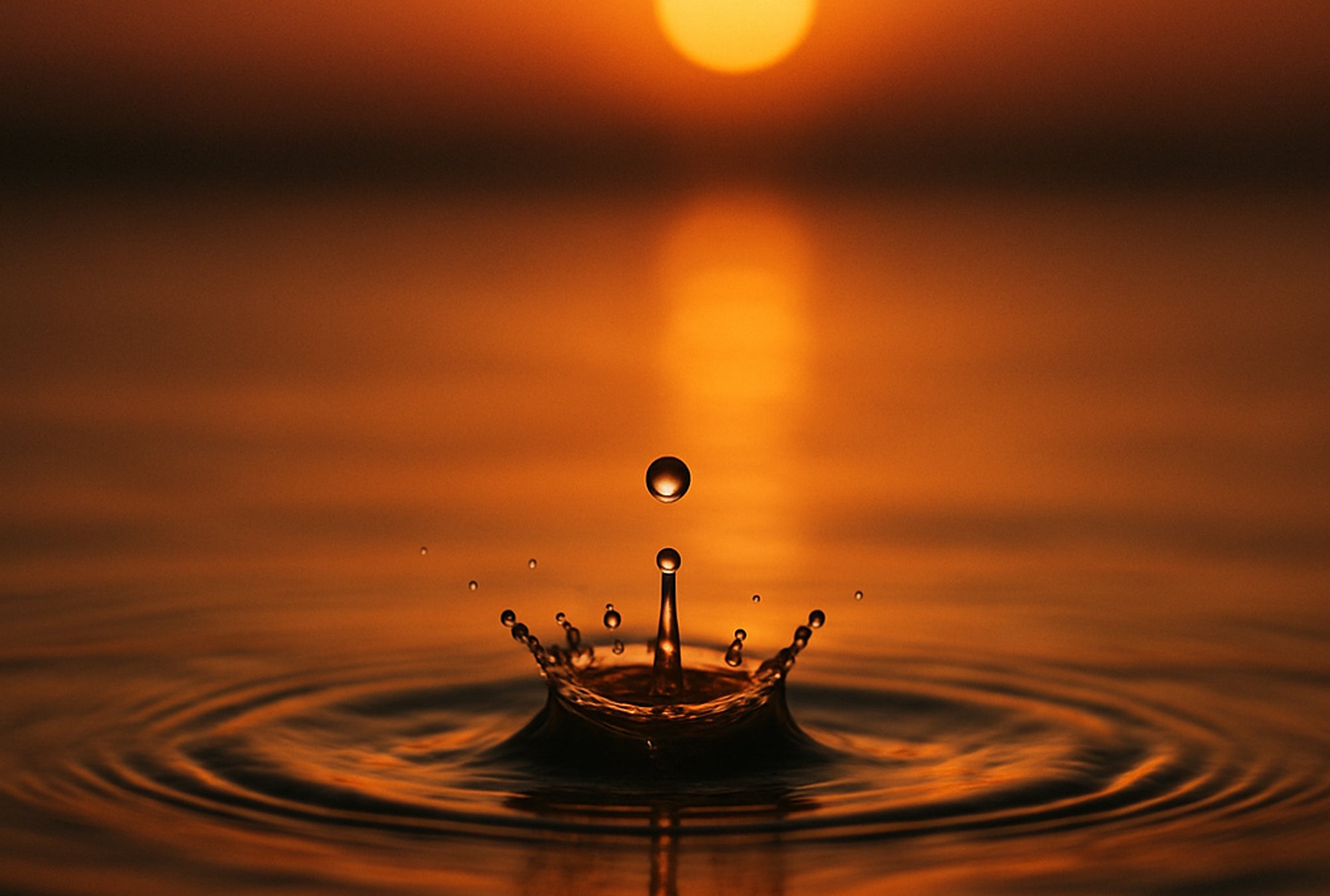 「どれだけ感動して、感動していただけるか」