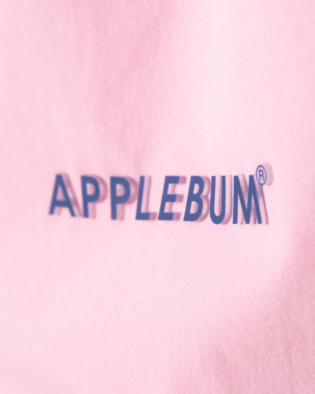 【5月発売予定】Authentic Hoopers Shorts / 2610817