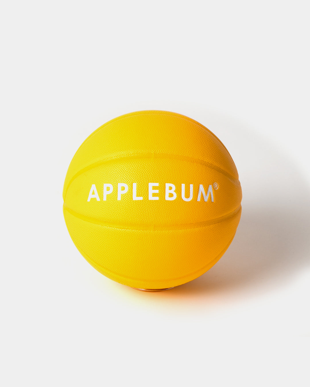 APPLEBUM × TACHIKARA CUSTOM BASKETBALL “Y.E.L.” / 2611010Y