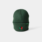 “APPLEBUM” Knit Cap [Green] / 2420901