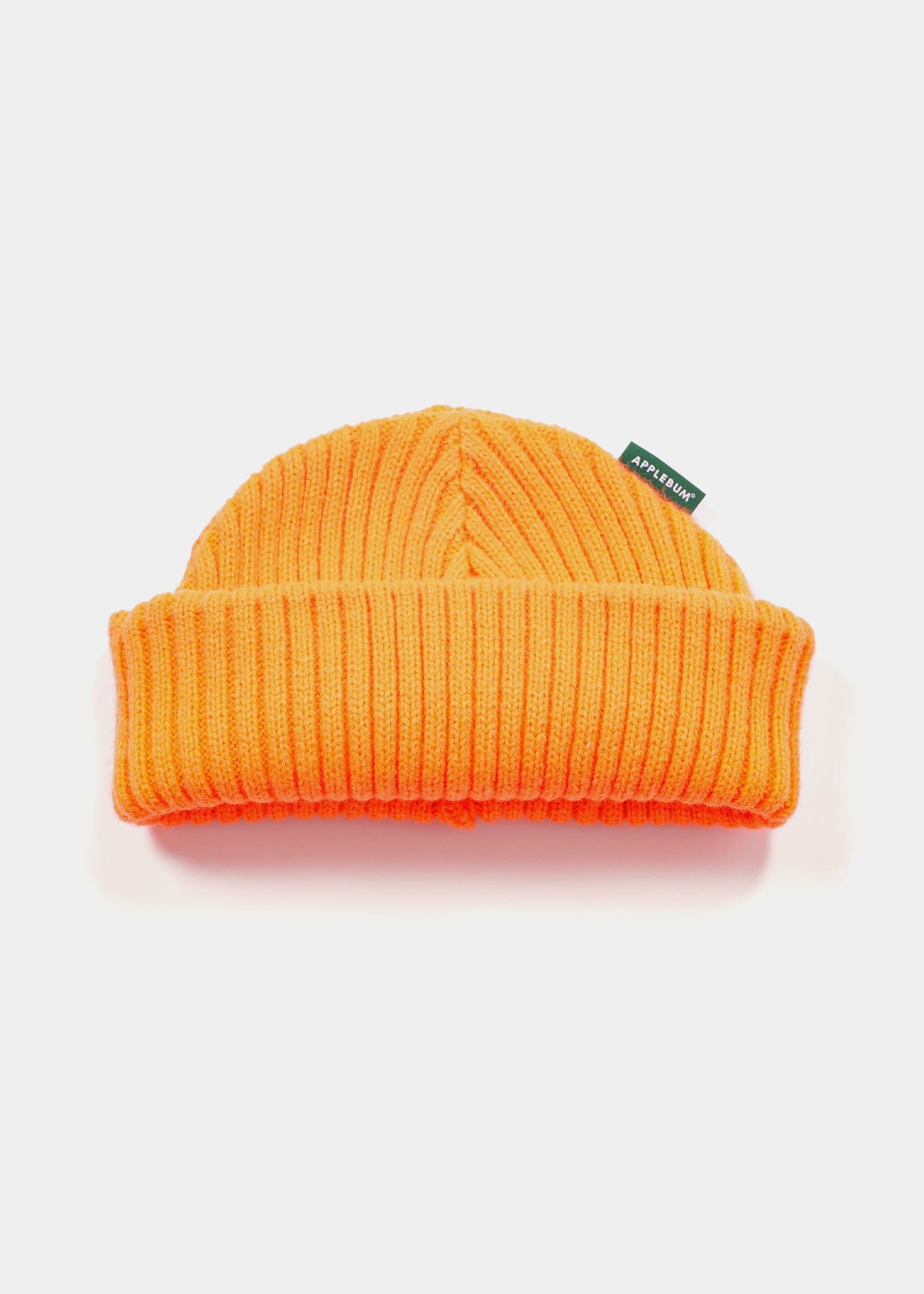 [Scheduled for release in November] Short Knit Cap / 2520909
