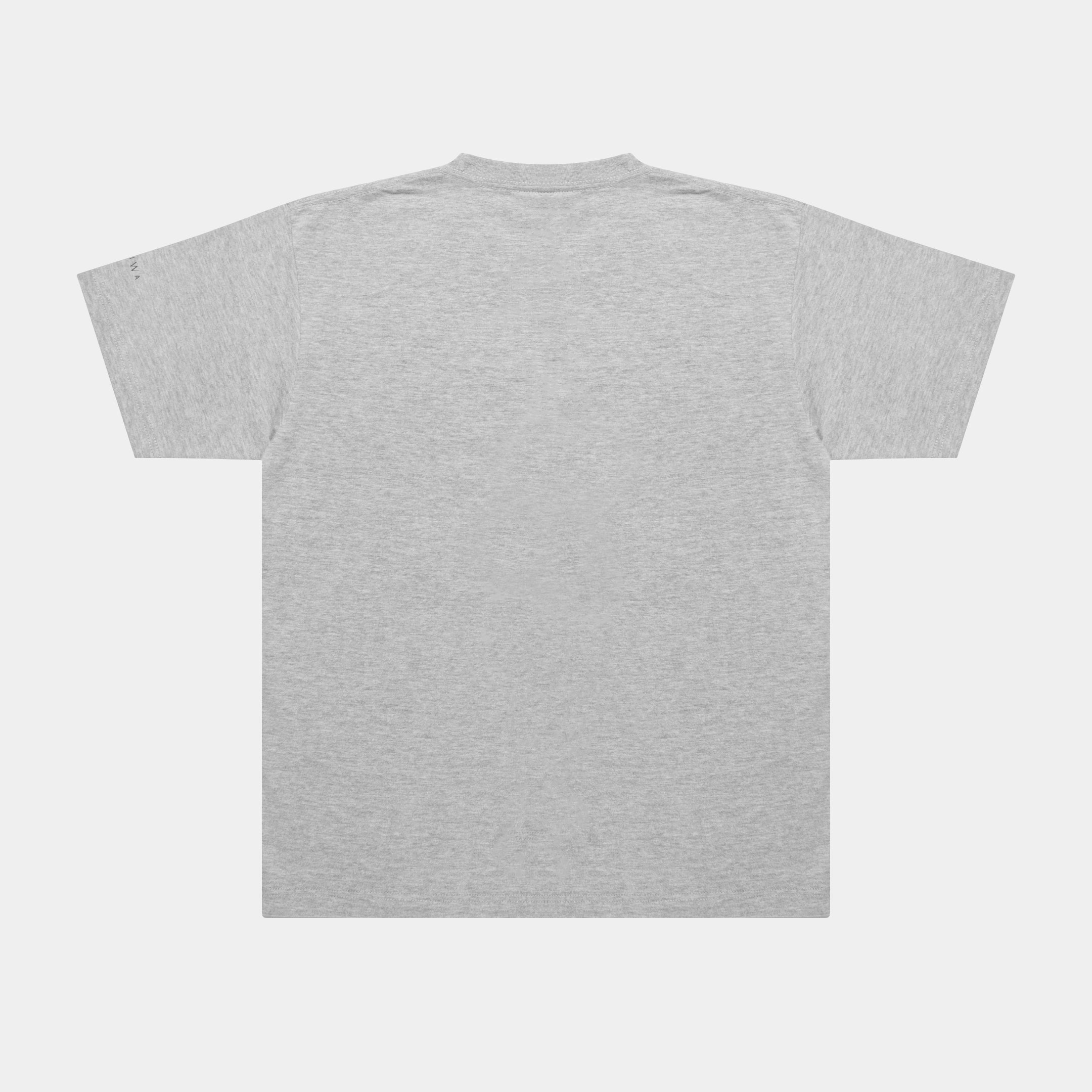 "The Wizard" T-shirt 6.2oz [Gray] / TN2411101