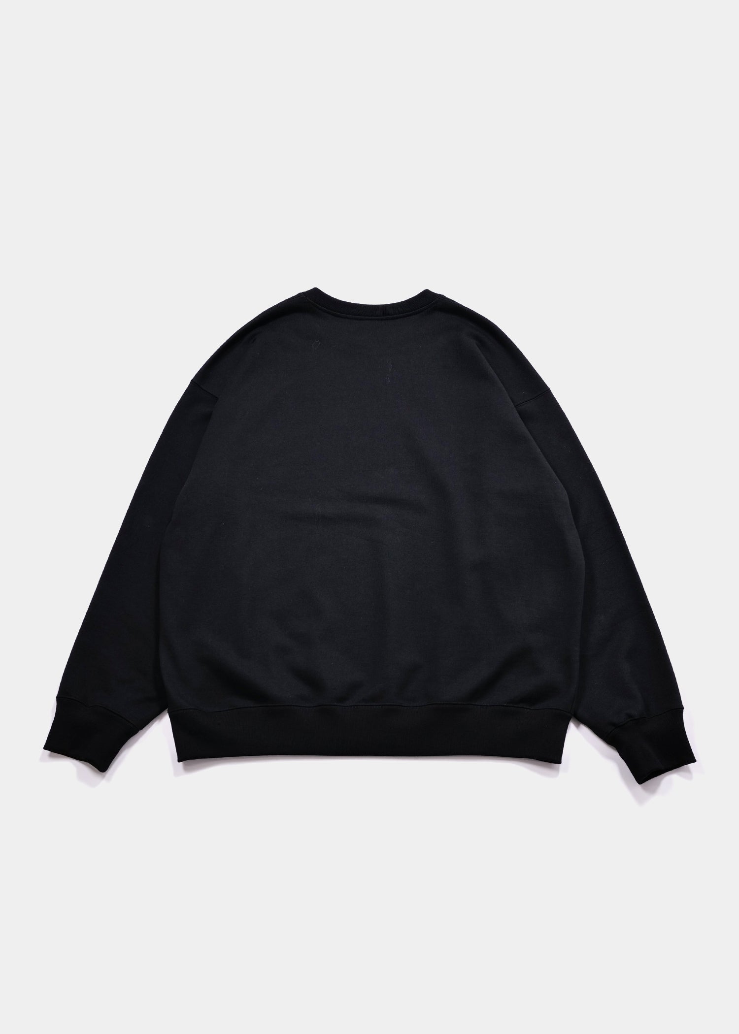 Logo Crew Sweat / 2520411