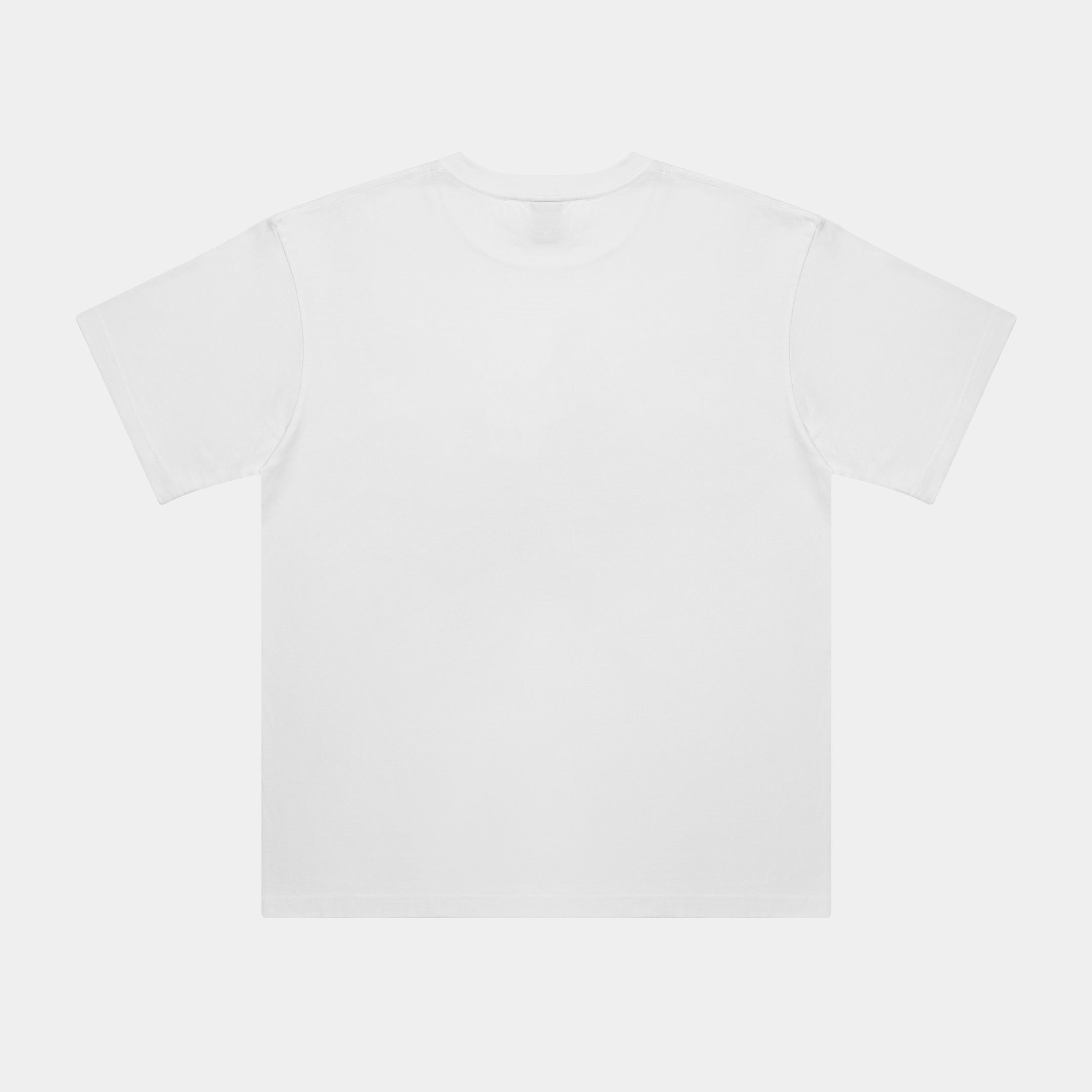 "Naughty" T-shirt 6.2oz [White] / TN2411103