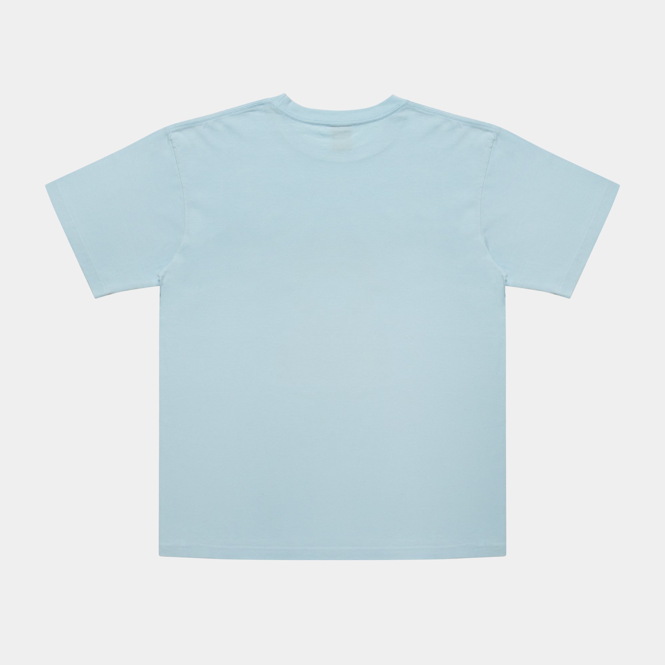 "Stunts, Blunts & Hip Hop" T-shirt 6.2oz [Light Blue] / HS2411113