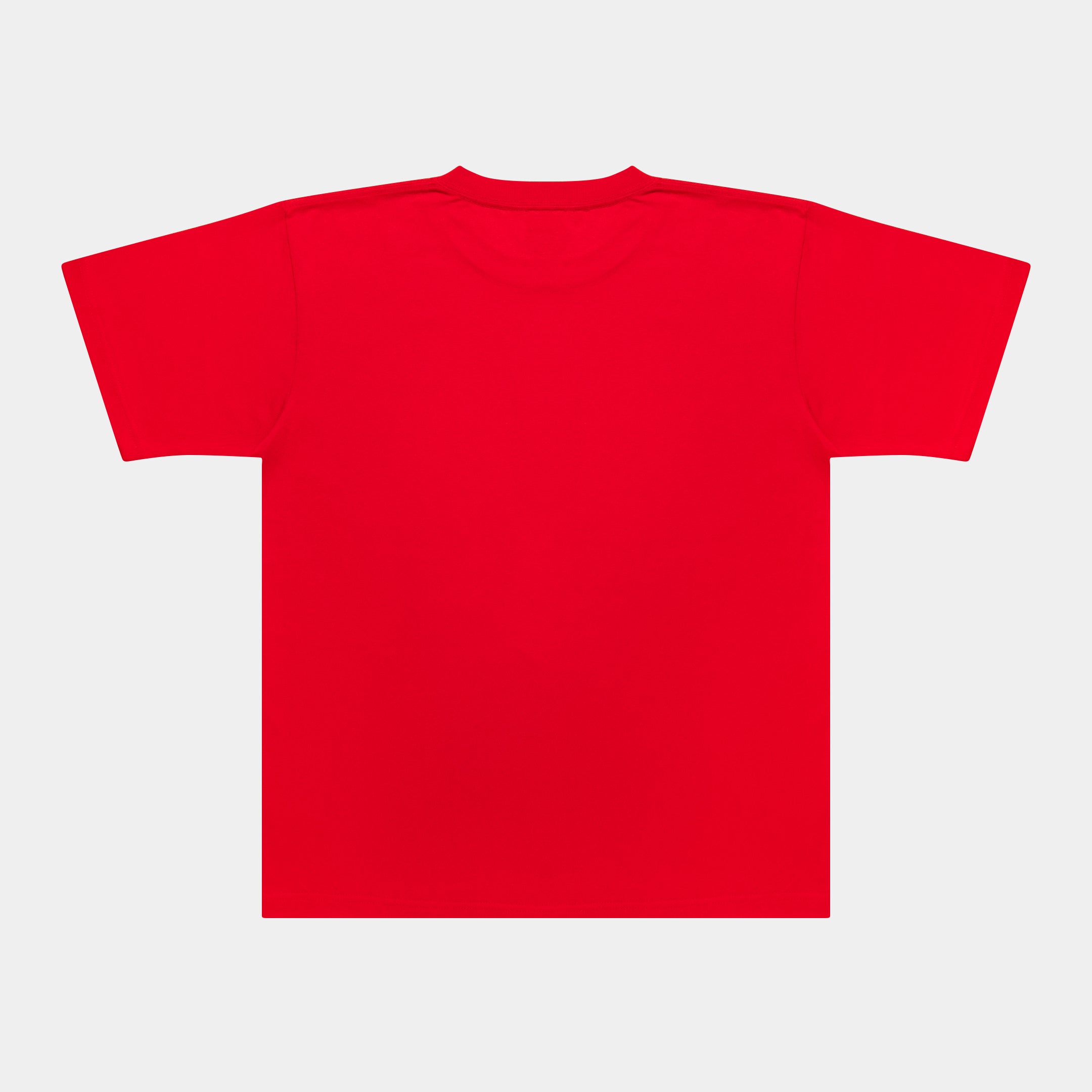 "Bridge Logo" T-shirt 6.2oz [Red] / HS2411119