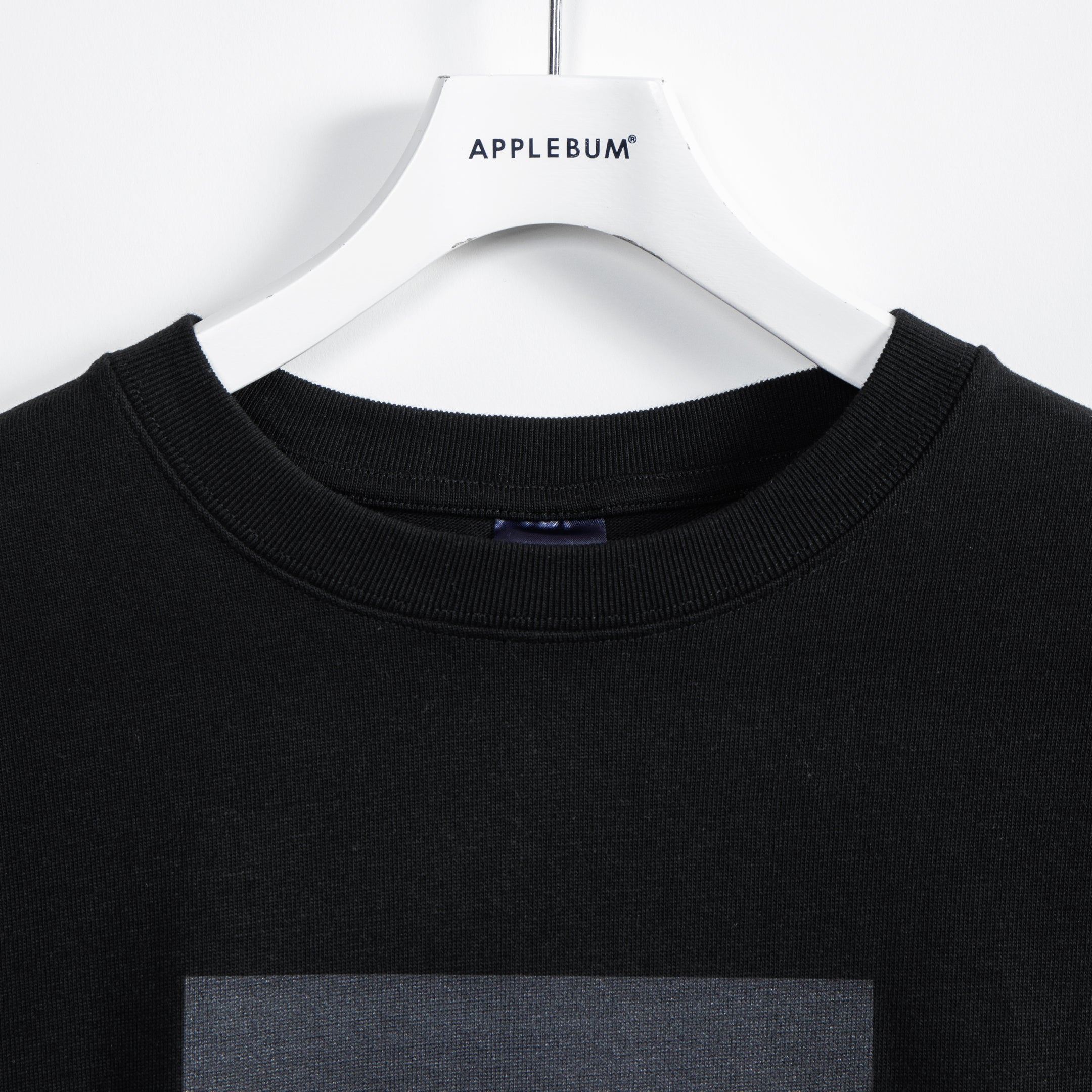 "Ray" T-shirt 12oz [Black] / 2411109