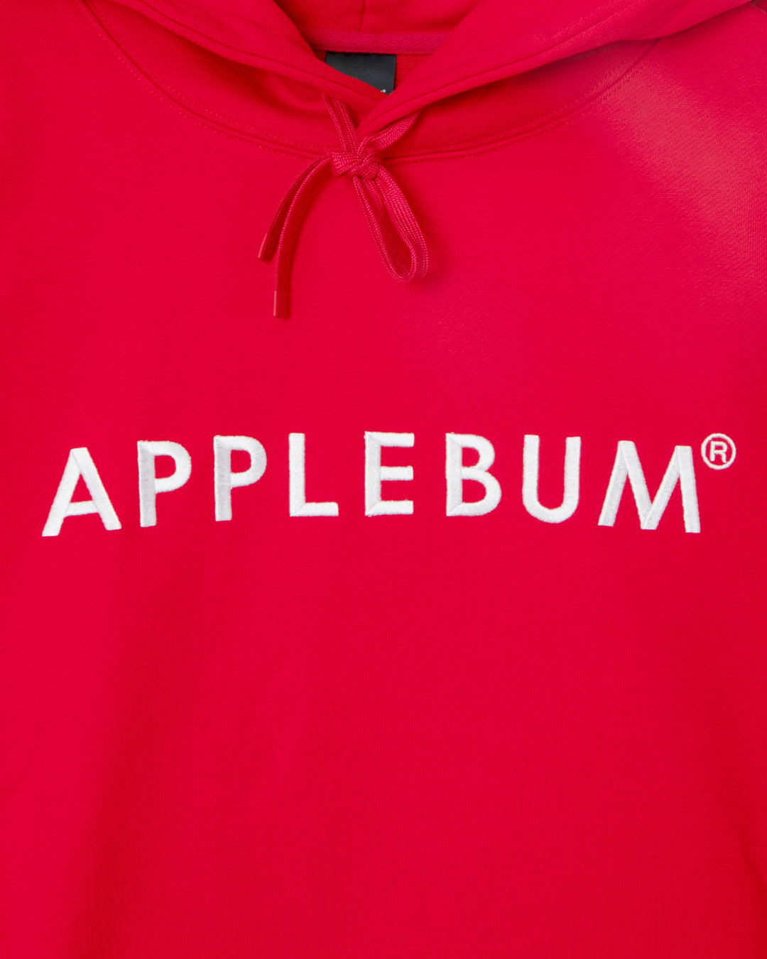 Logo Embroidery Hoodie / 2620409
