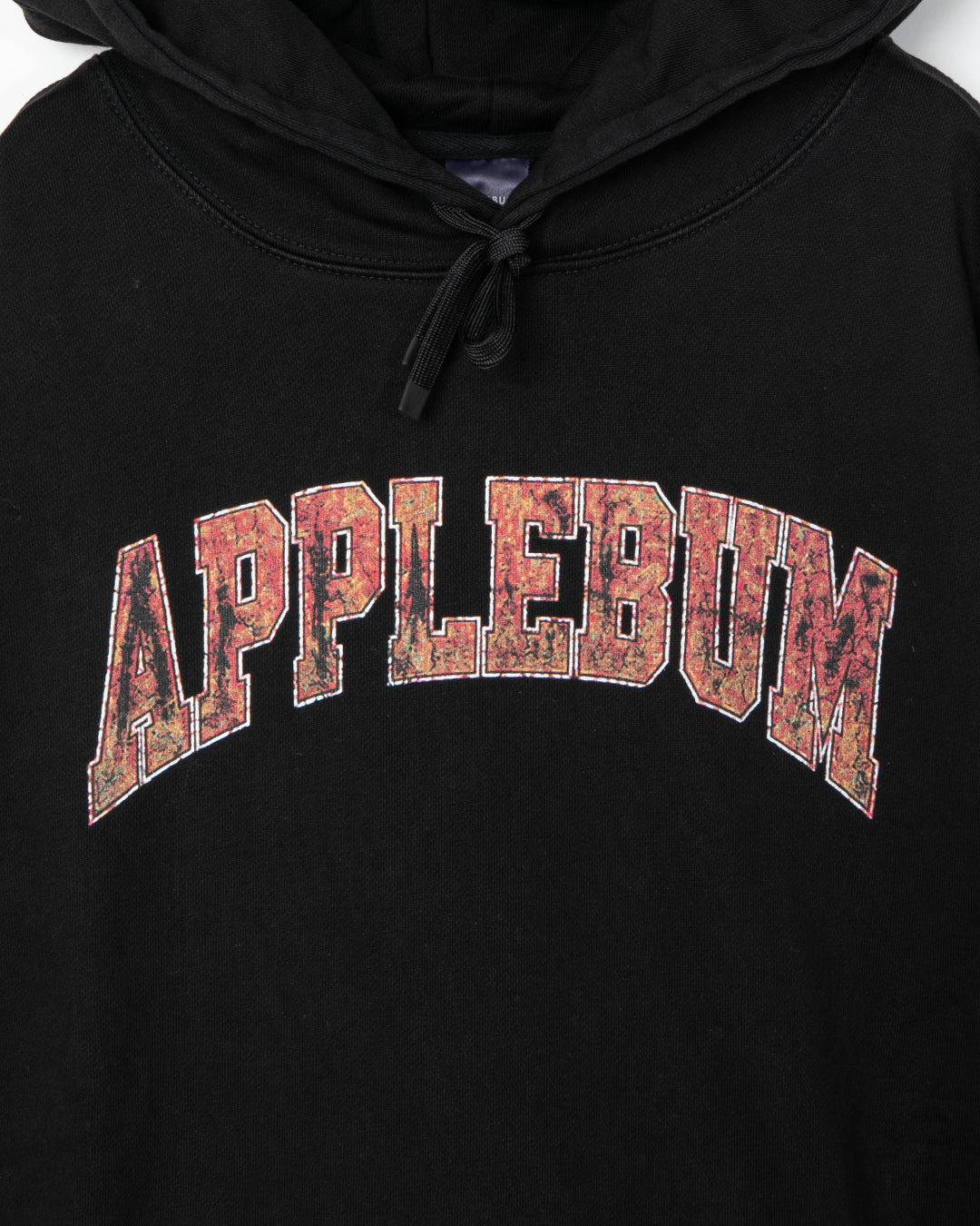 【10月発売予定】Arch Logo Vintage Hoodie / 2620411