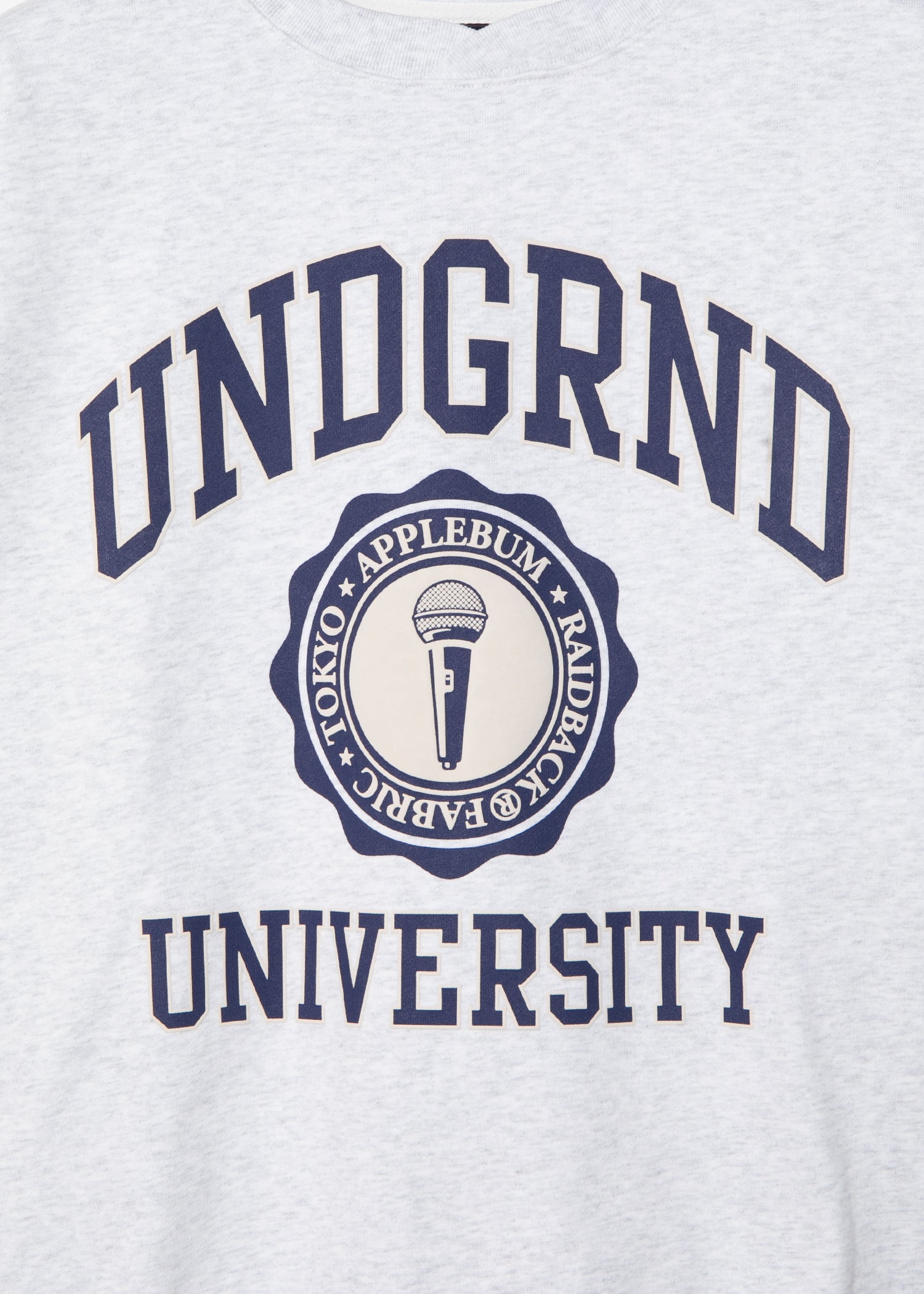 “UNDERGROUND UNIVERSITY” Crew Sweat / GT2520401