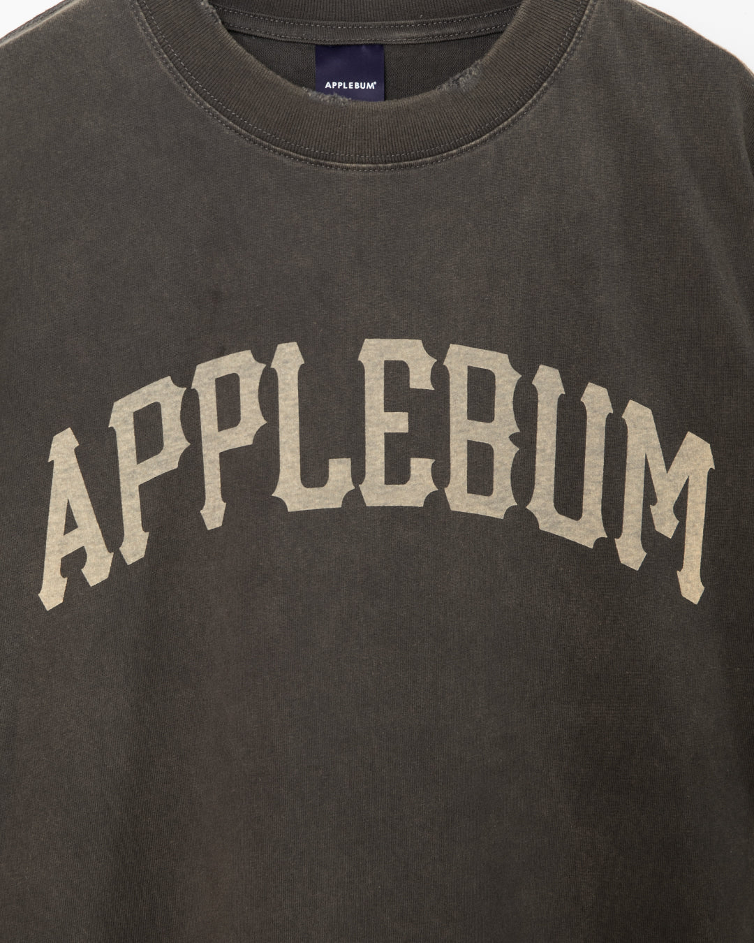 【4月発売予定】Damaged Short T-shirt / 2611120