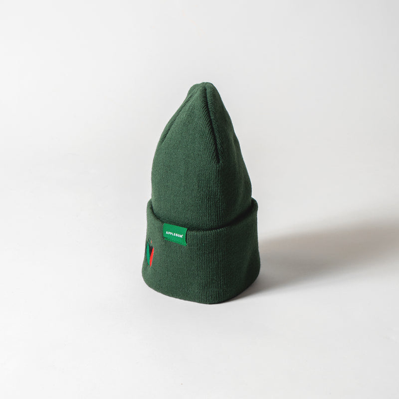 “APPLEBUM” Knit Cap [Green] / 2420901