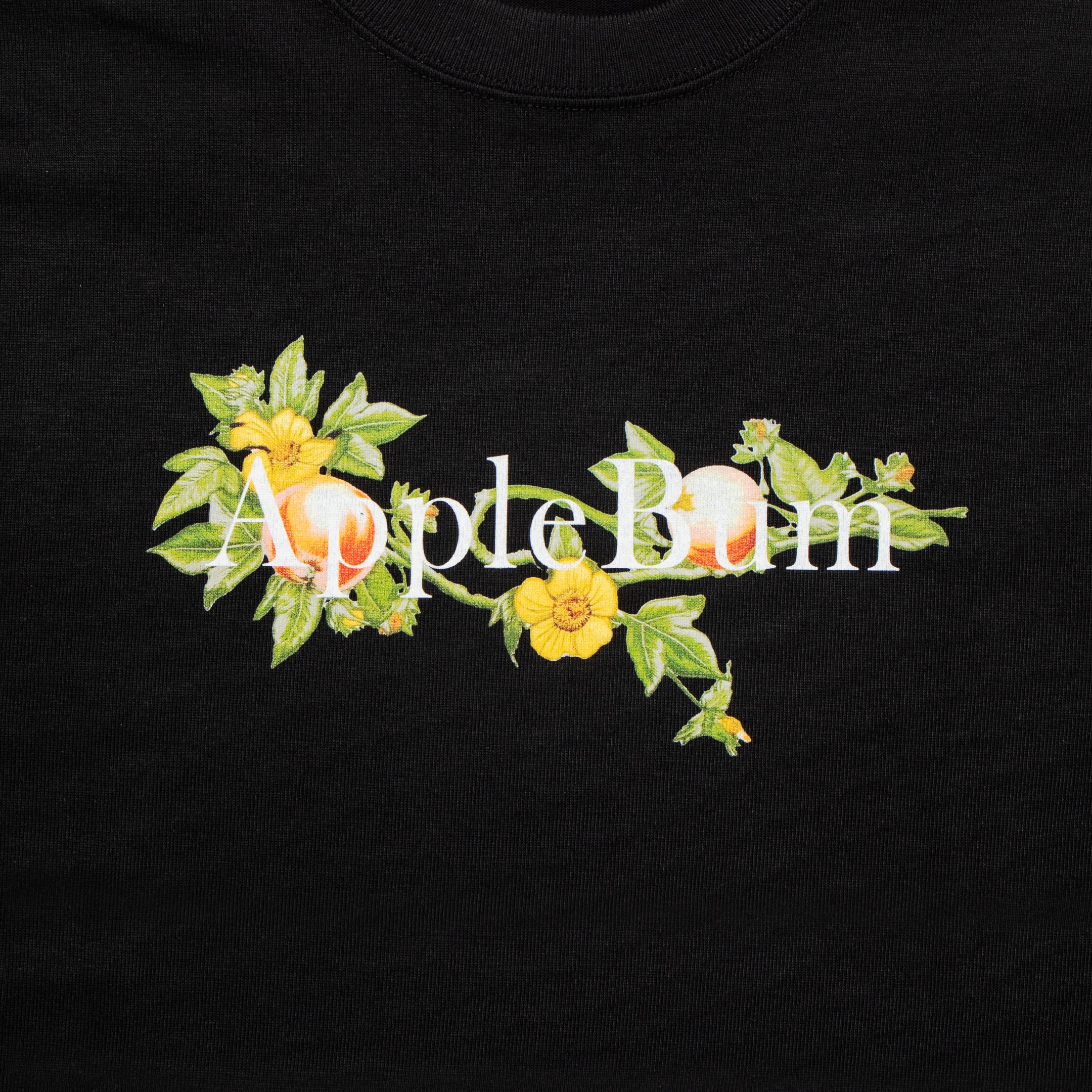 【3月発売予定】“Apple Blossom Logo” T-shirt 12oz / 2511113