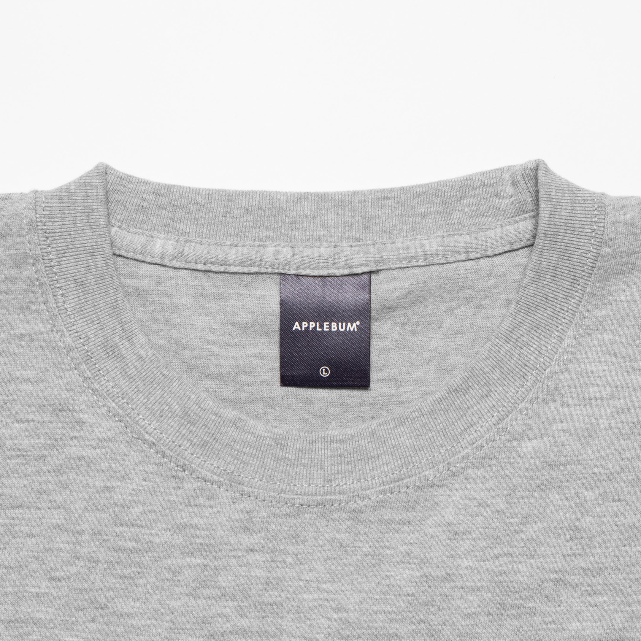 "The Wizard" T-shirt 6.2oz [Gray] / TN2411101