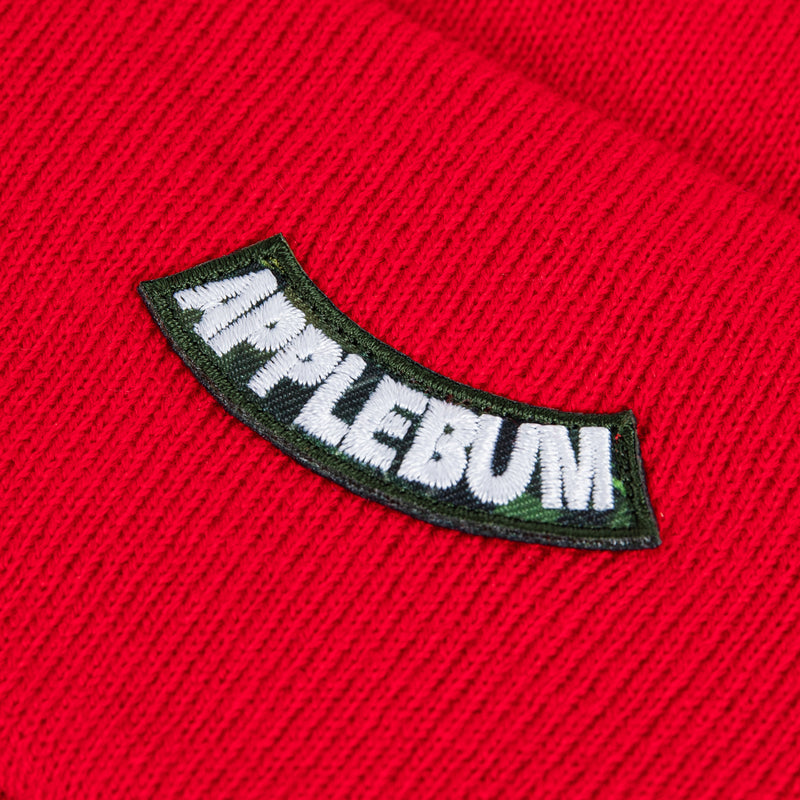 Arch Logo Knit Cap [Red] / GT2320903