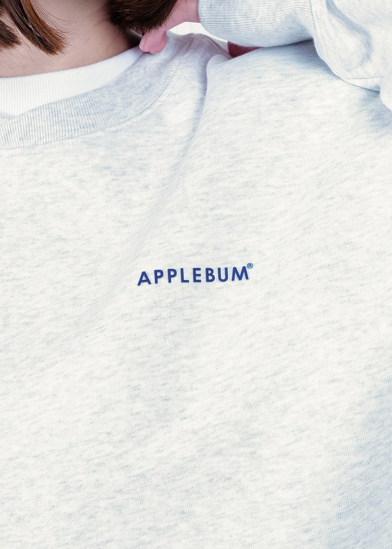 Logo Crew Sweat / 2520411