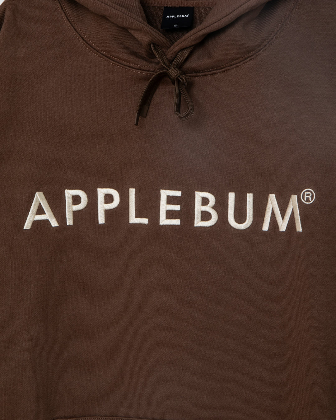 Logo Embroidery Hoodie / 2620409