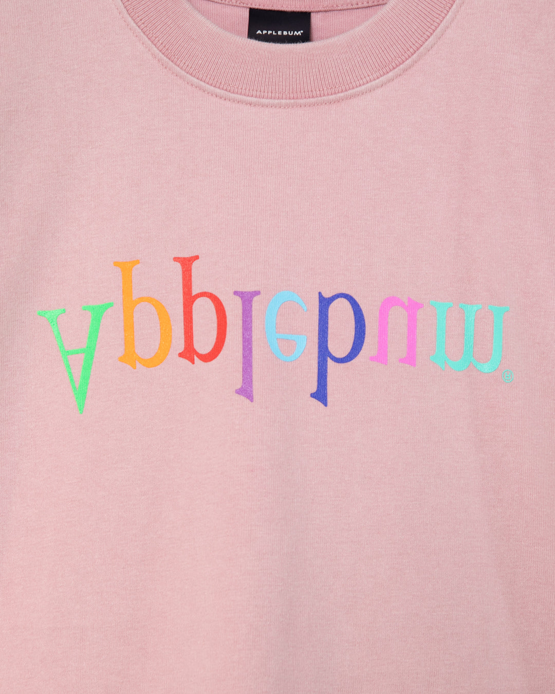 【5月発売予定】“Computer-Logo” Washed T-shirt / 2611117