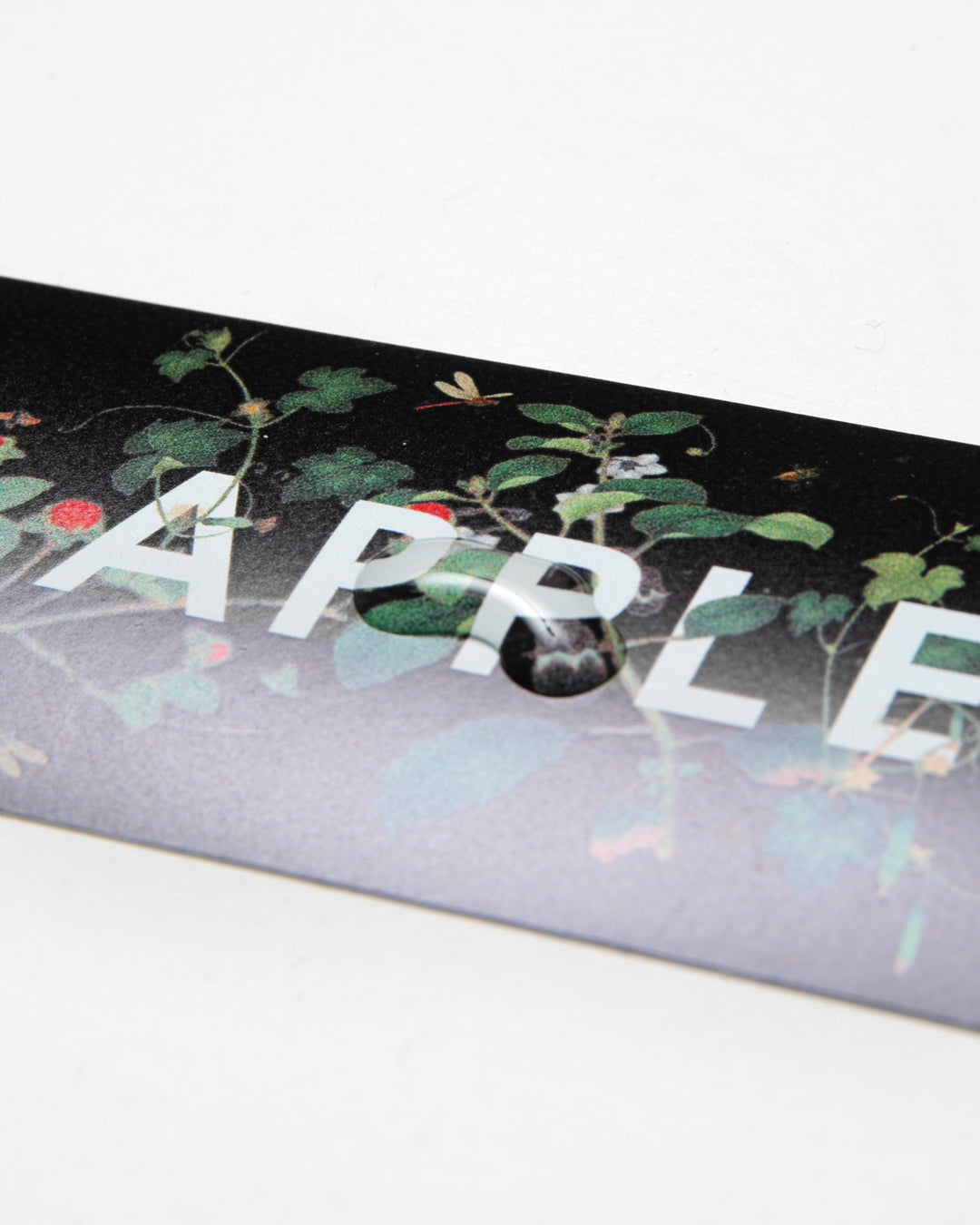 【4月発売予定】“Leafed” Logo Sticker / 2611014