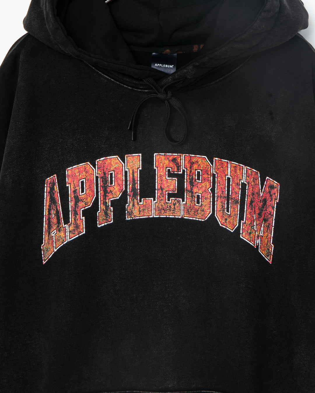 【10月発売予定】Arch Logo Vintage Hoodie / 2620411