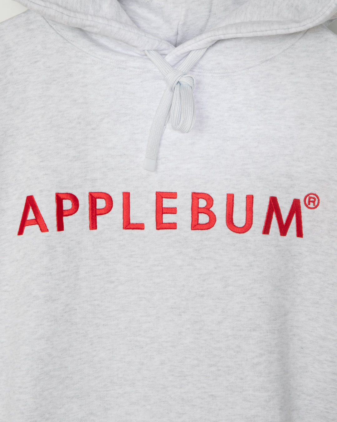 Logo Embroidery Hoodie / 2620409