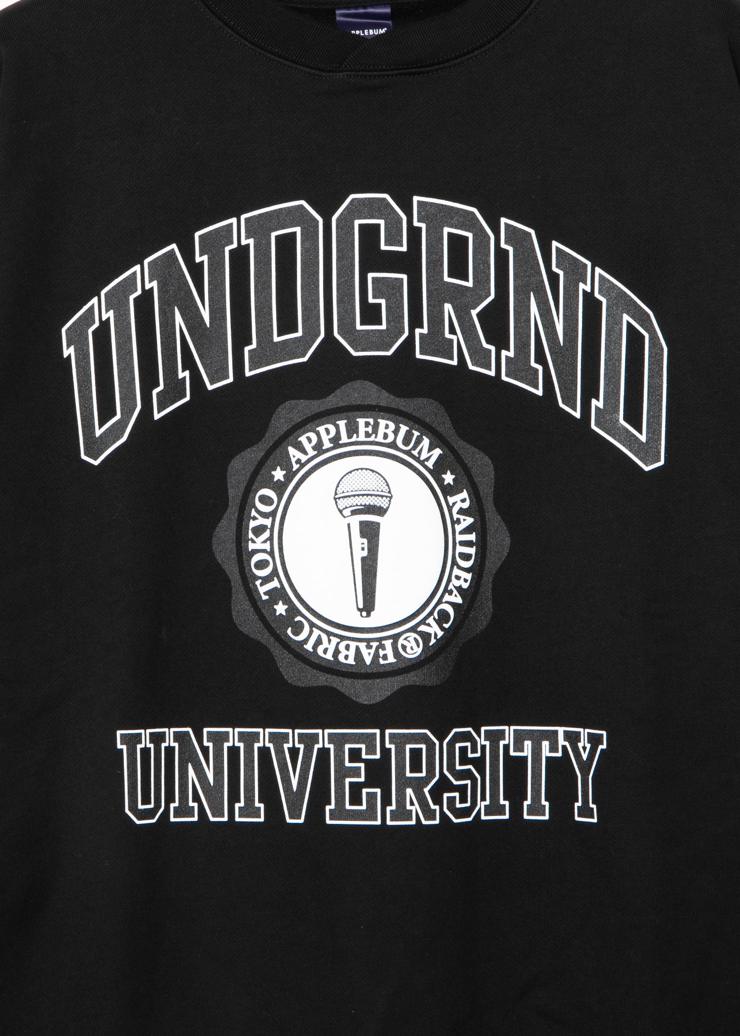 UNDERGROUND UNIVERSITY” Crew Sweat / GT2520401