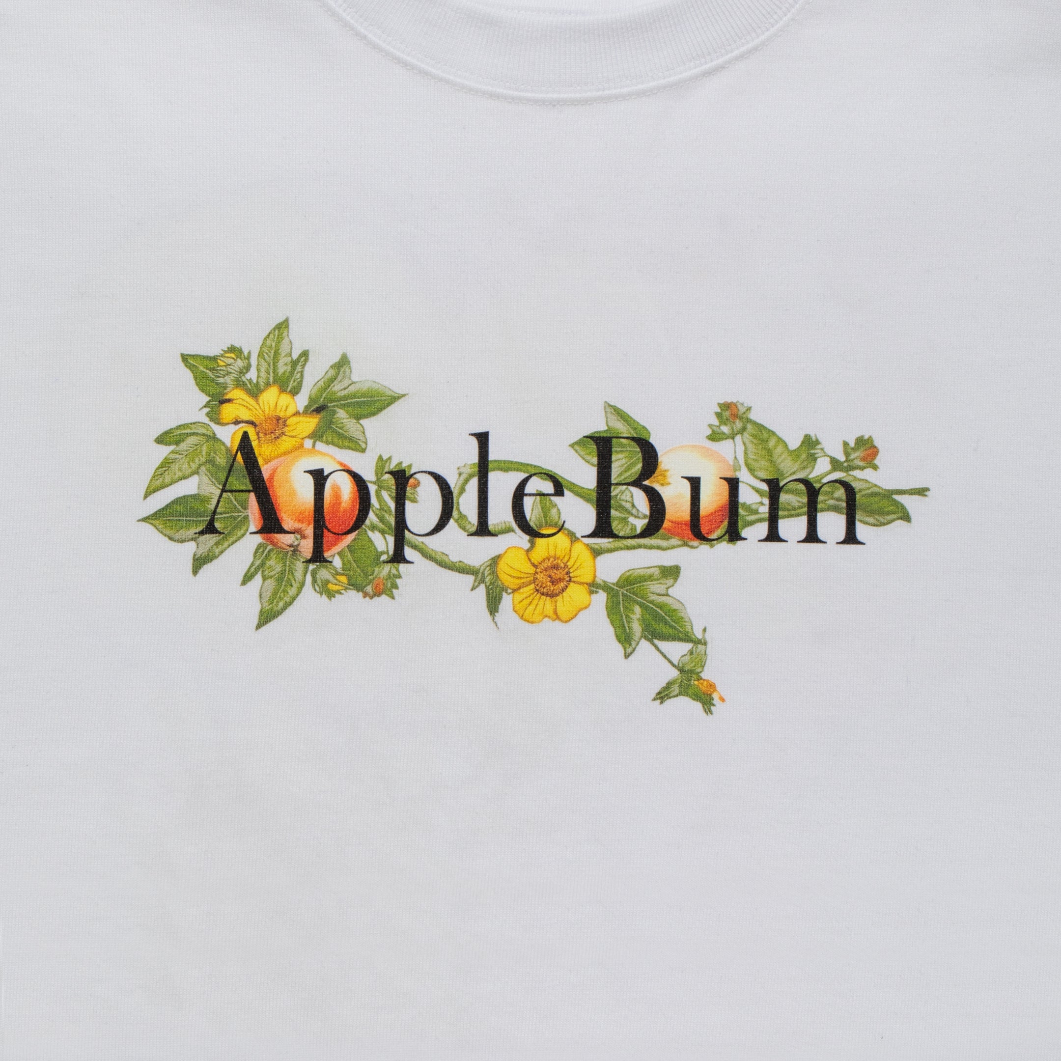 【3月発売予定】“Apple Blossom Logo” T-shirt 12oz / 2511113