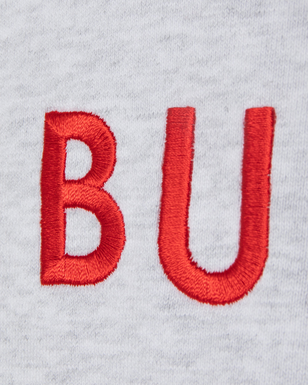 Logo Embroidery Hoodie / 2620409