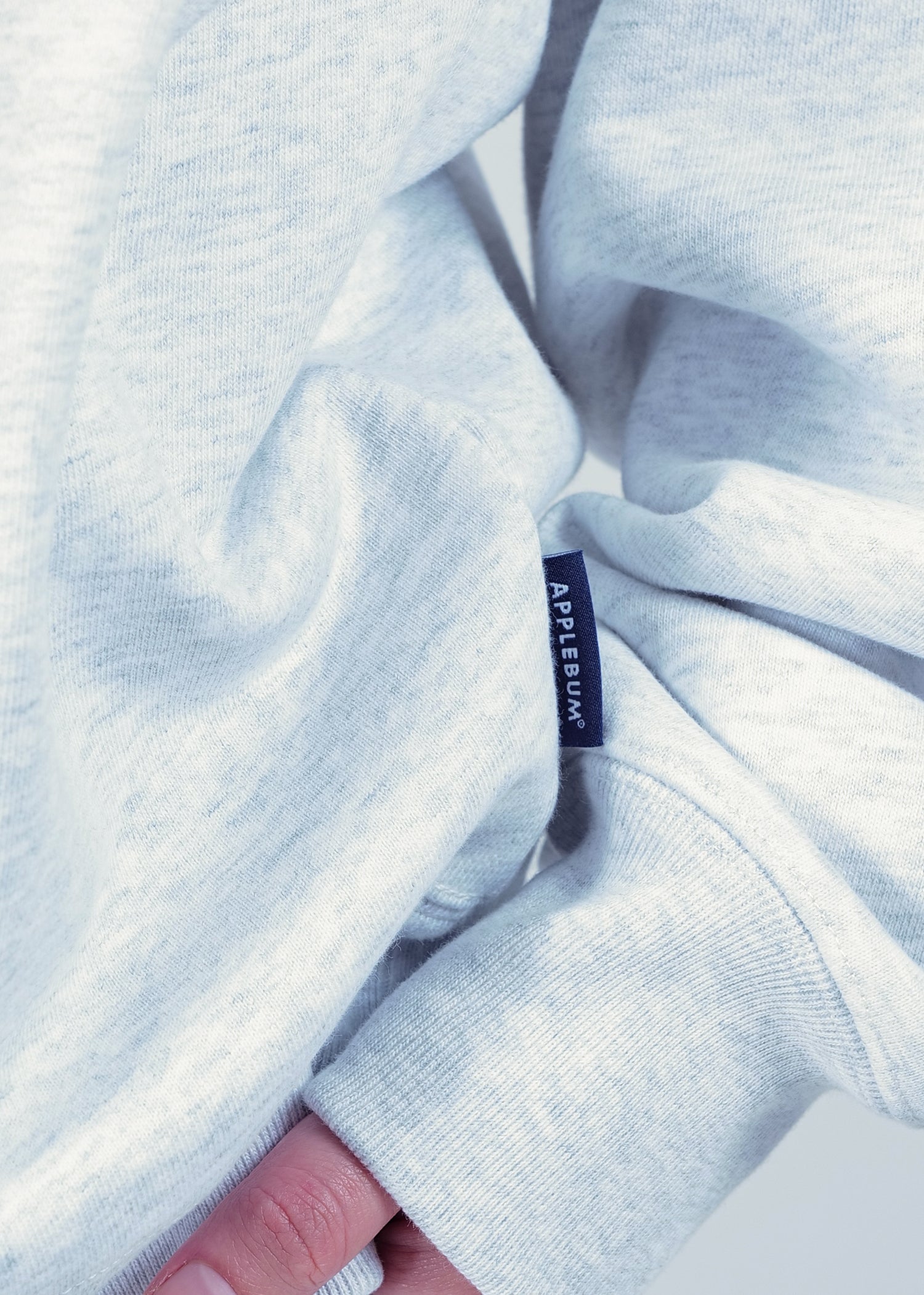 Logo Crew Sweat / 2520411