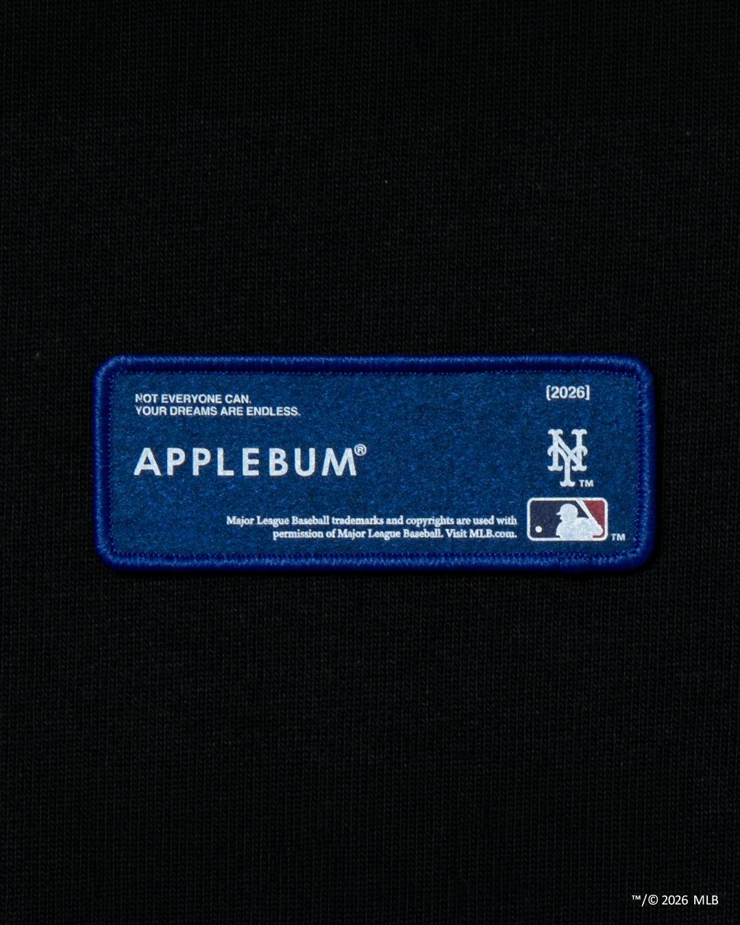 "New York Mets” Leaf Logo Hoodie / ML2620401M