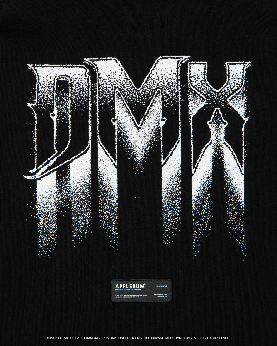 DX2621103 / 포토 티셔츠