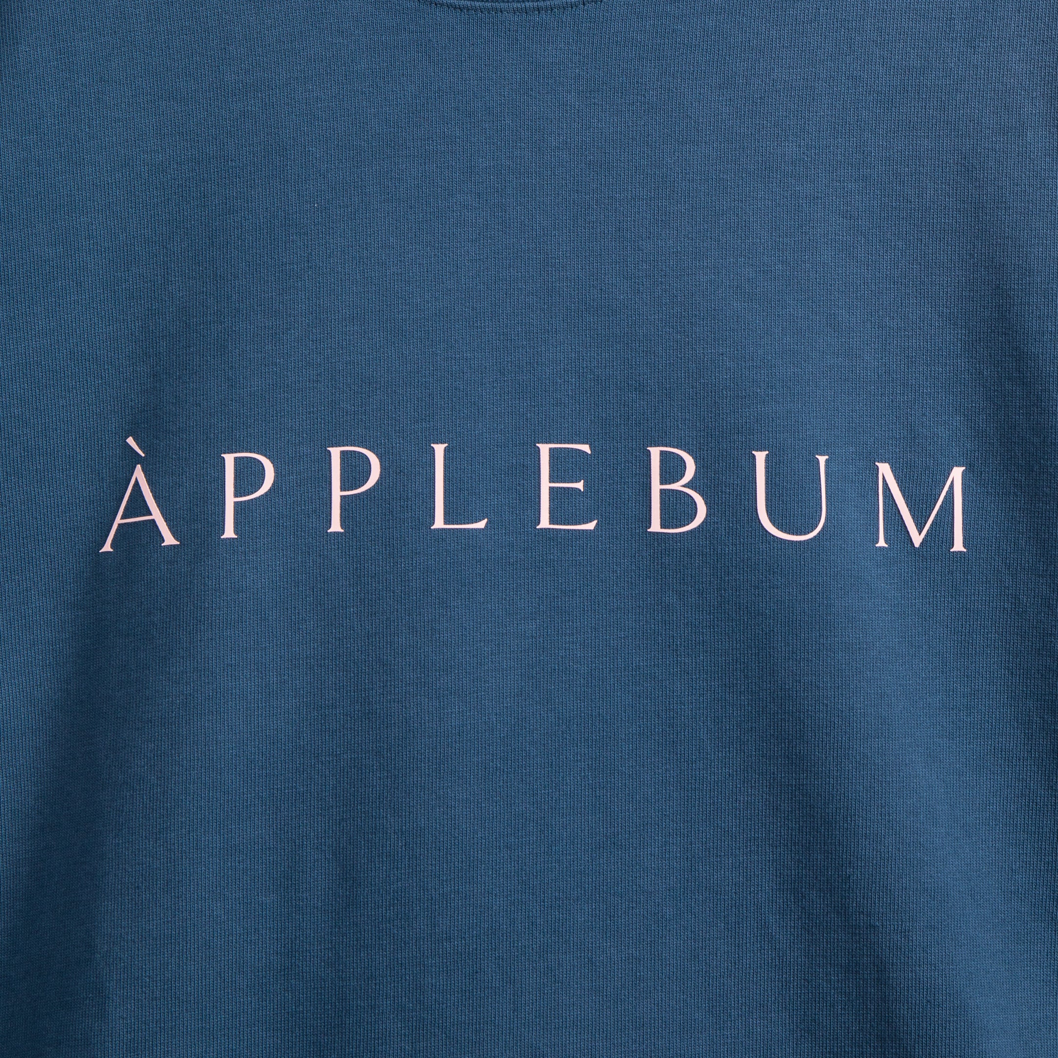 Logo T-shirt 12oz [Blue Gray] / 2411119