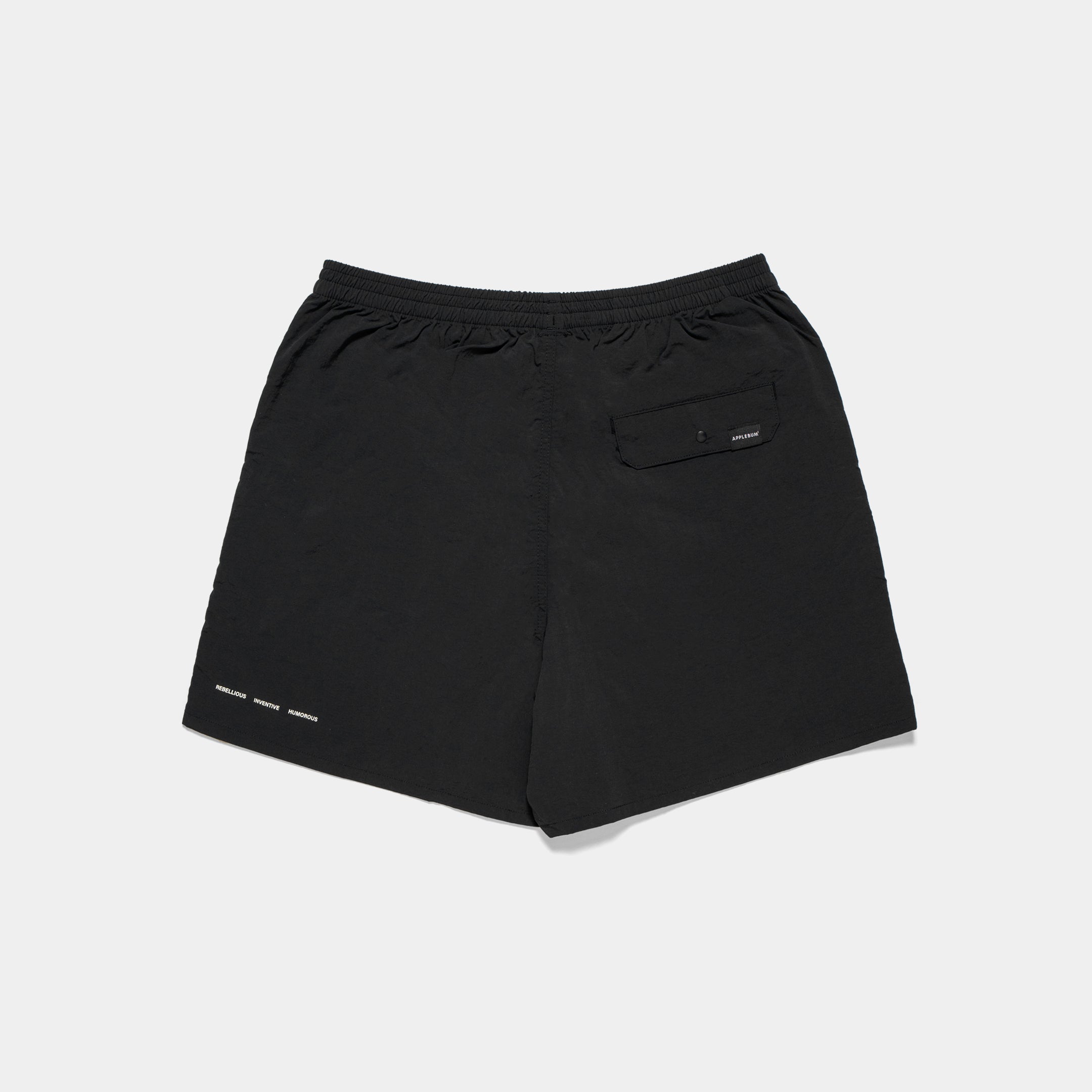 【4月発売予定】Active Nylon Shorts / 2510812