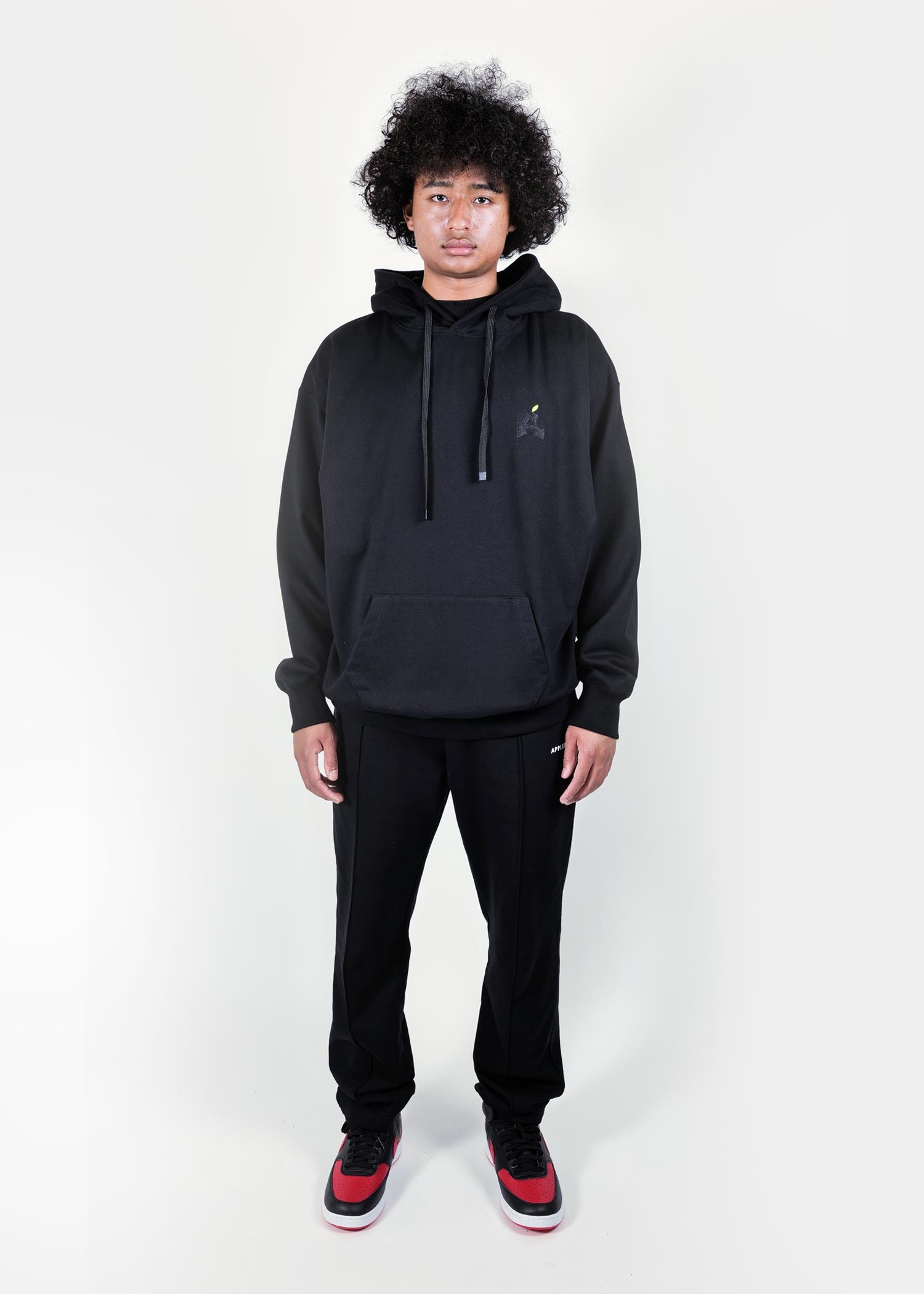 “BLACK APPLE” Sweat Parka / 2520404