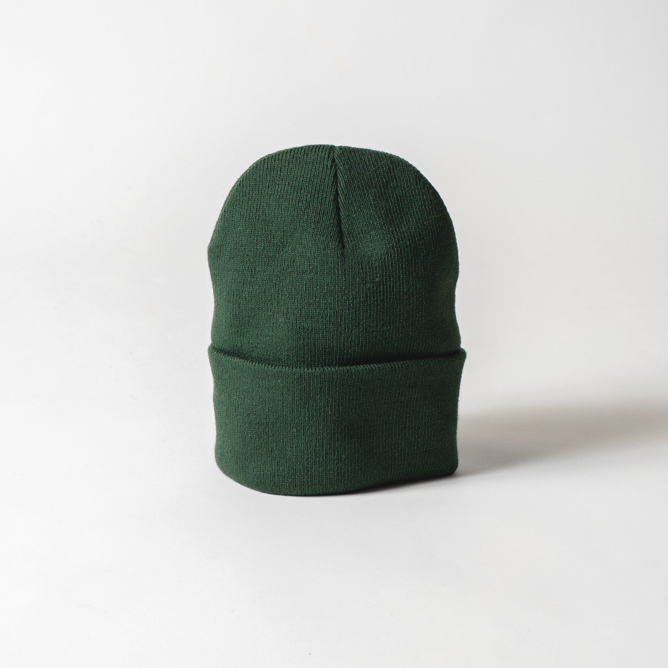 “APPLEBUM” Knit Cap [Green] / 2420901