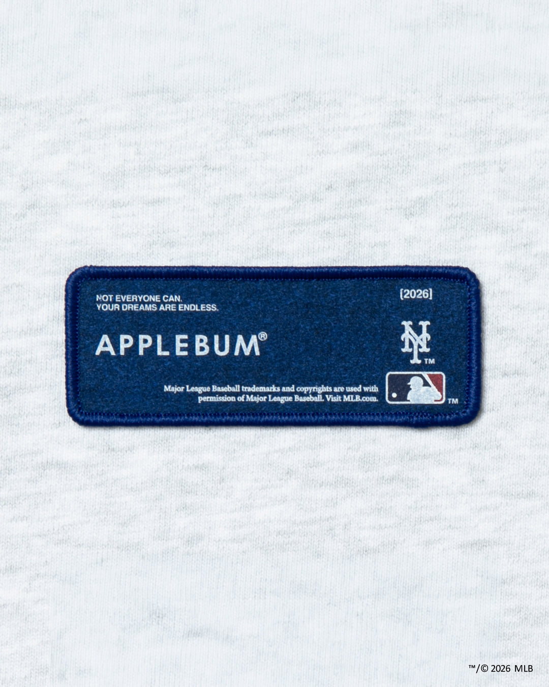 "New York Mets” Leaf Logo Hoodie / ML2620401M