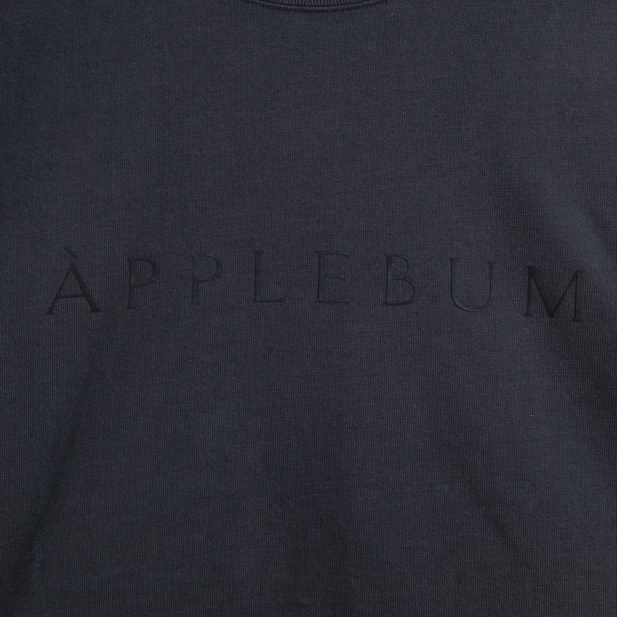 Logo T-shirt 12oz [Keshi-Sumi] / 2411119