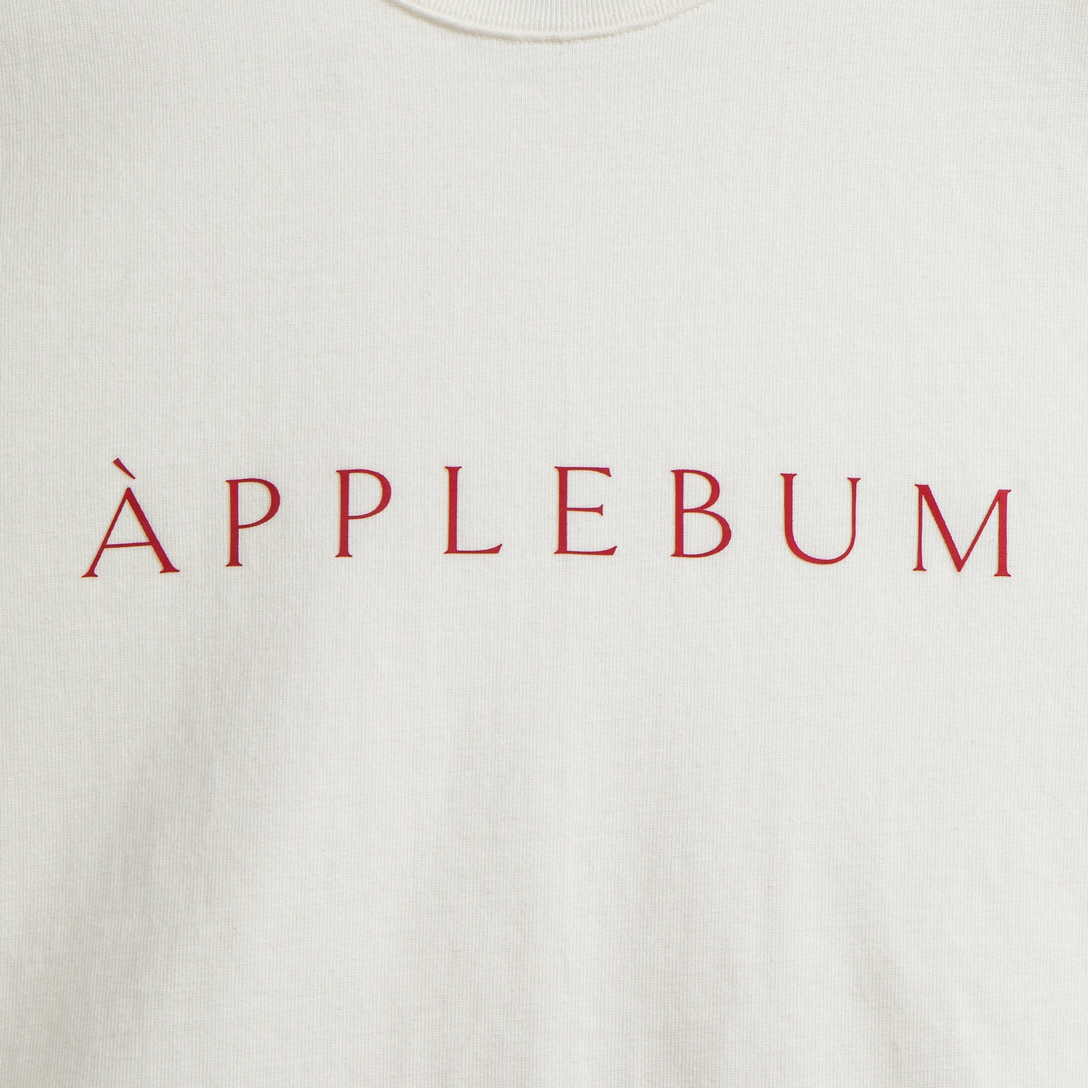 Logo T-shirt 12oz [Natural] / 2411119