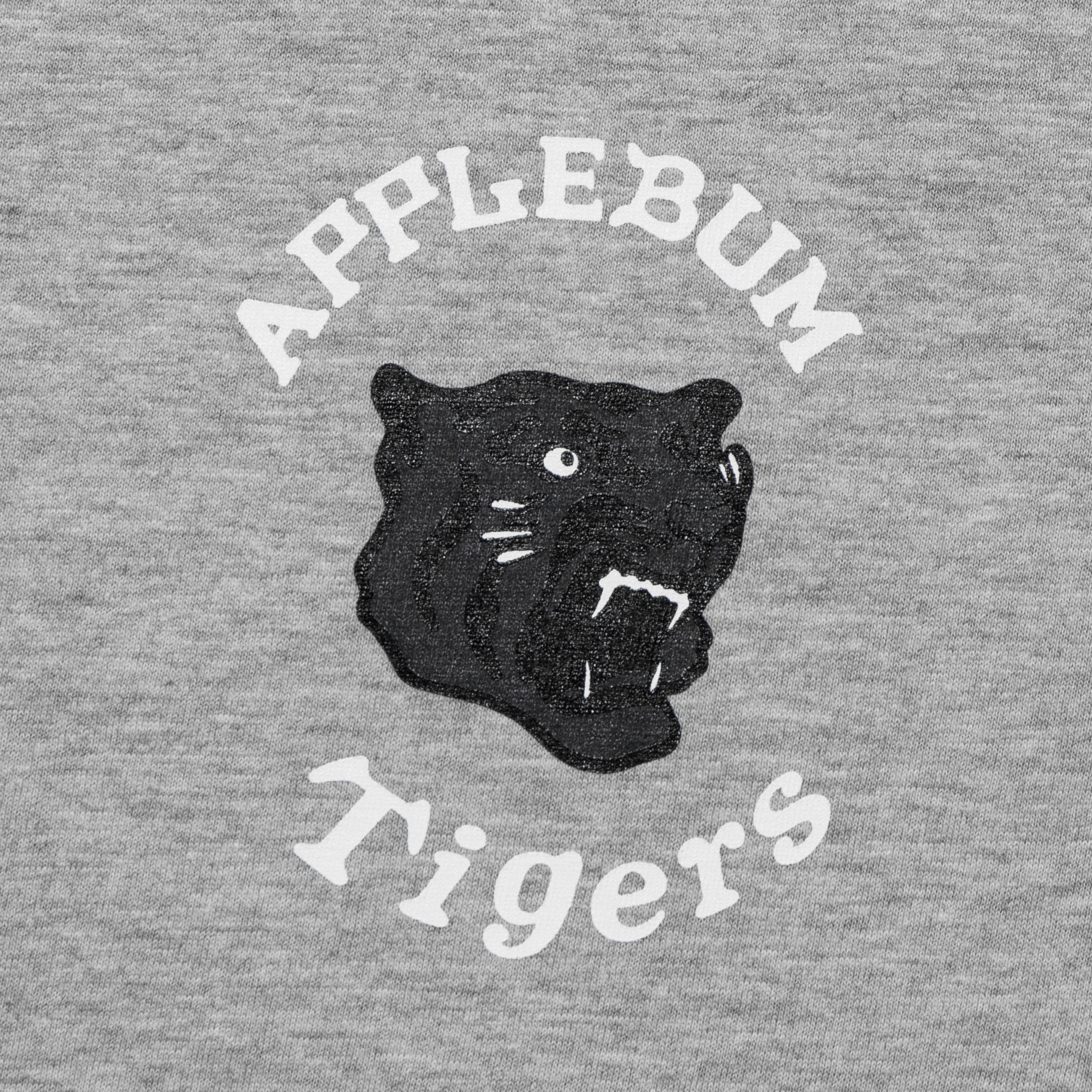 "Black Tiger" T-shirt [Gray] / HT2411102