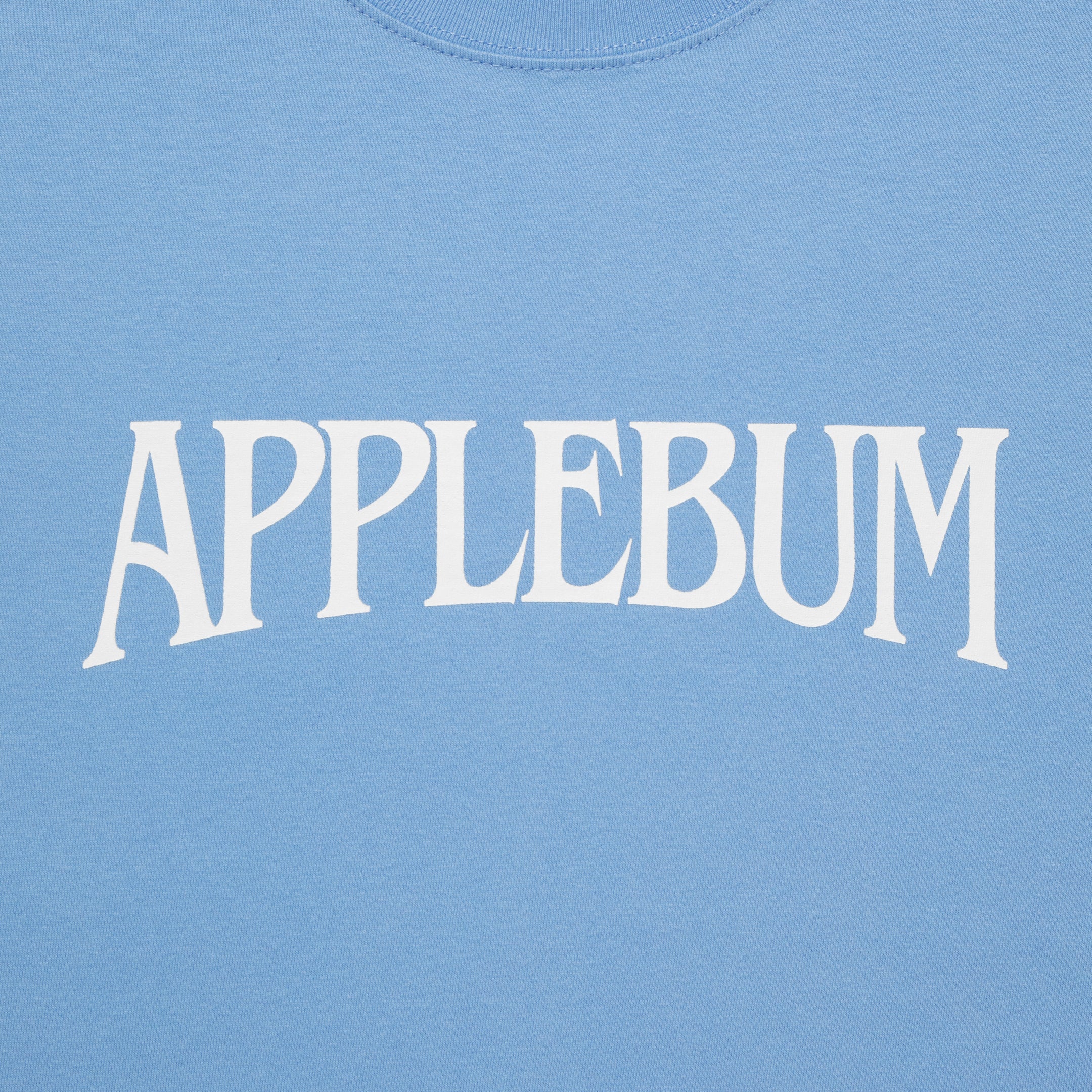 "Bridge Logo" T-shirt 6.2oz [Sax] / HS2411119