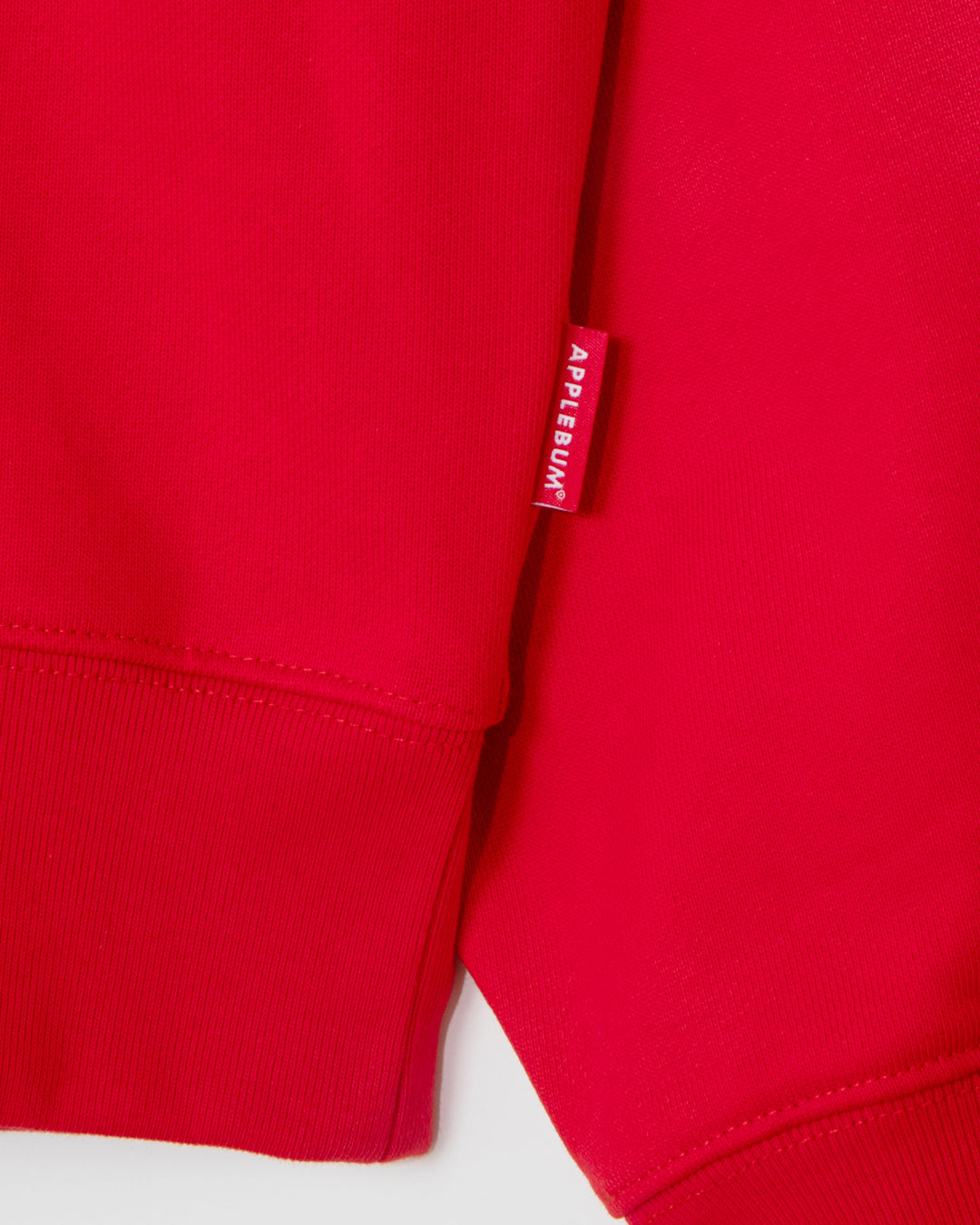 Logo Embroidery Hoodie / 2620409