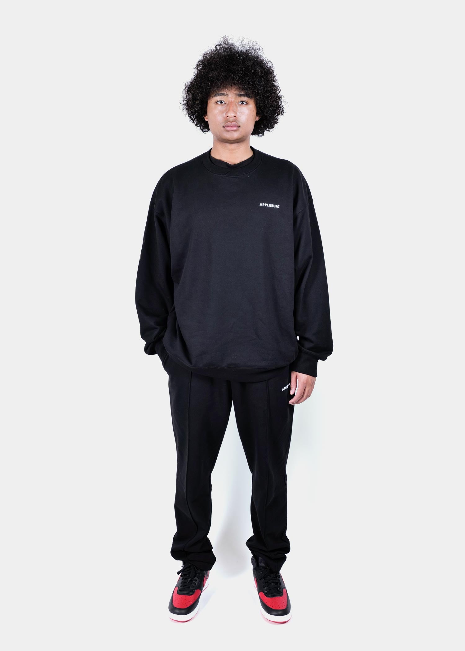 Logo Crew Sweat / 2520411