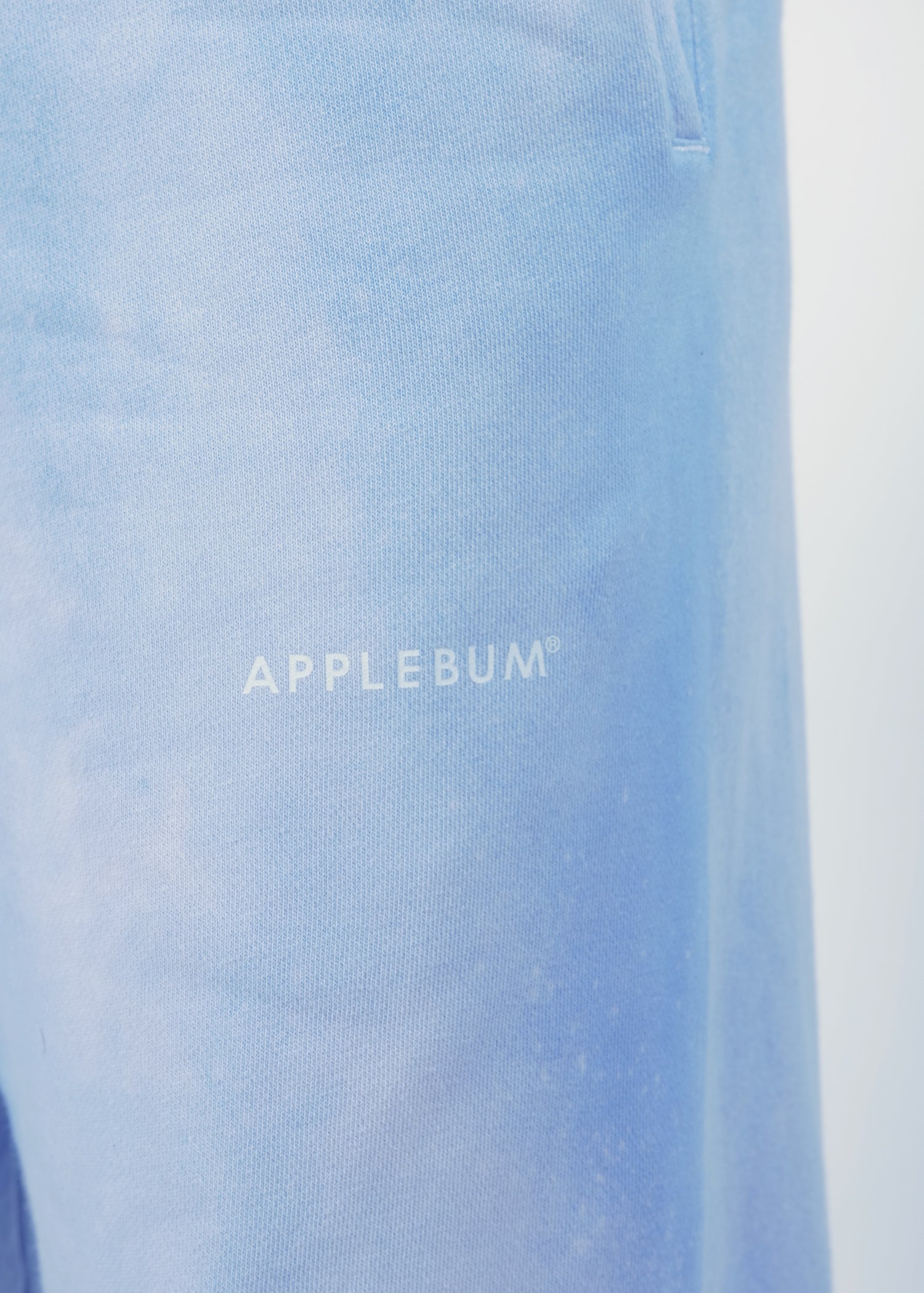 Spray Bleach Sweat Pants / 2520810