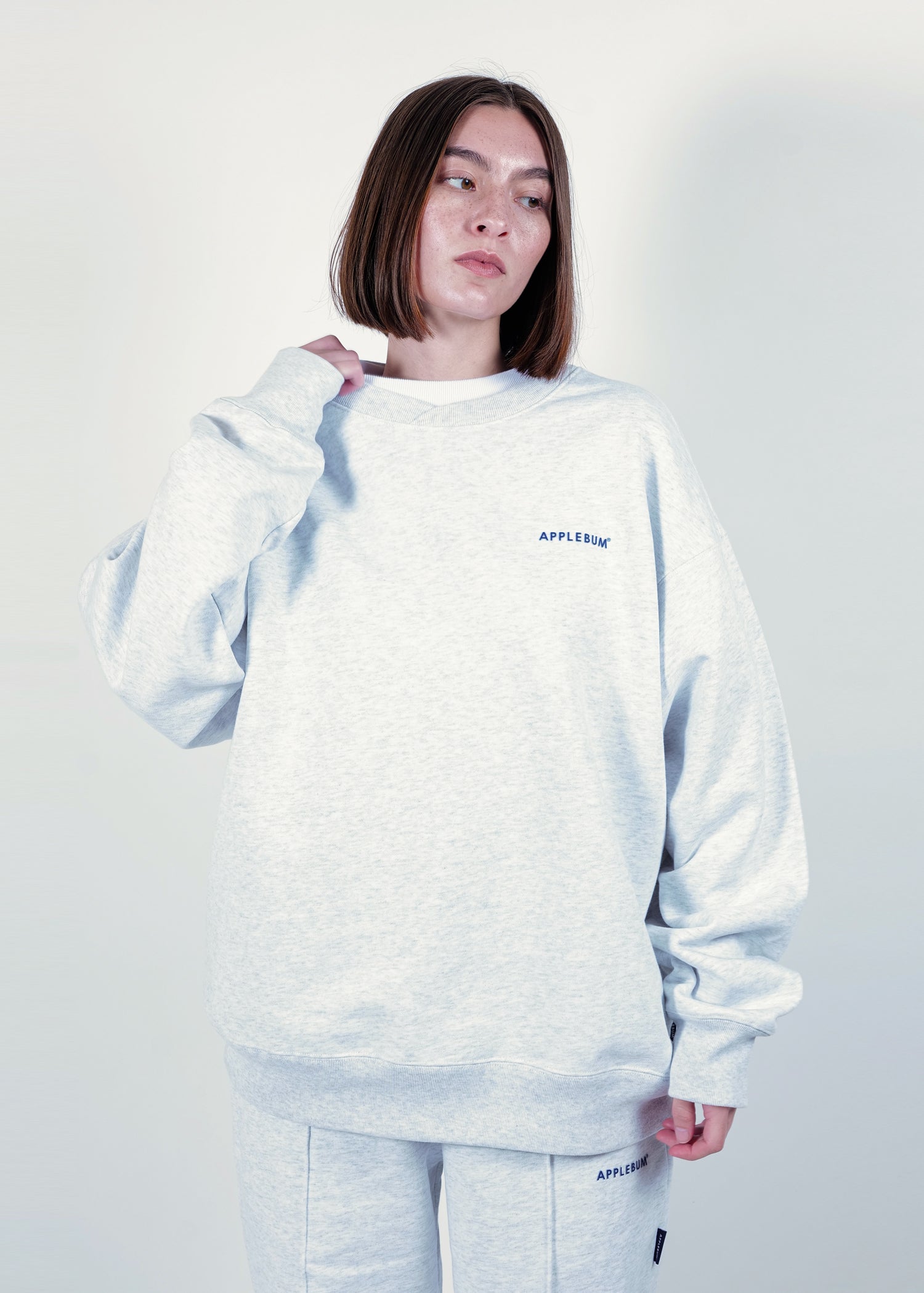 Logo Crew Sweat / 2520411