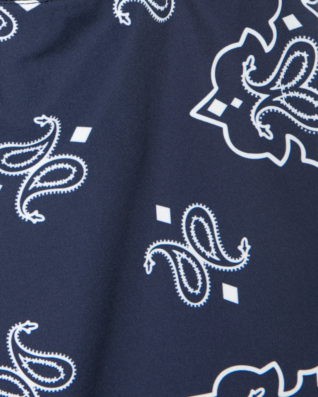 【6月発売予定】“Paisley” Hoopers Shorts / 2610813